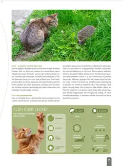 zookauf Themenkatalog Katze ab 01.10.2026 gültig | Seite: 55 | Produkte: Kleid
