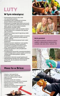 Pogląd oferty "Brico Marché gazetka - Jesienne Inspiracje" - ważna od 17.08.2026 | Strona: 101 | Produkty: Opryskiwacz, Nasiona, Doniczki, Opryskiwacz ciśnieniowy