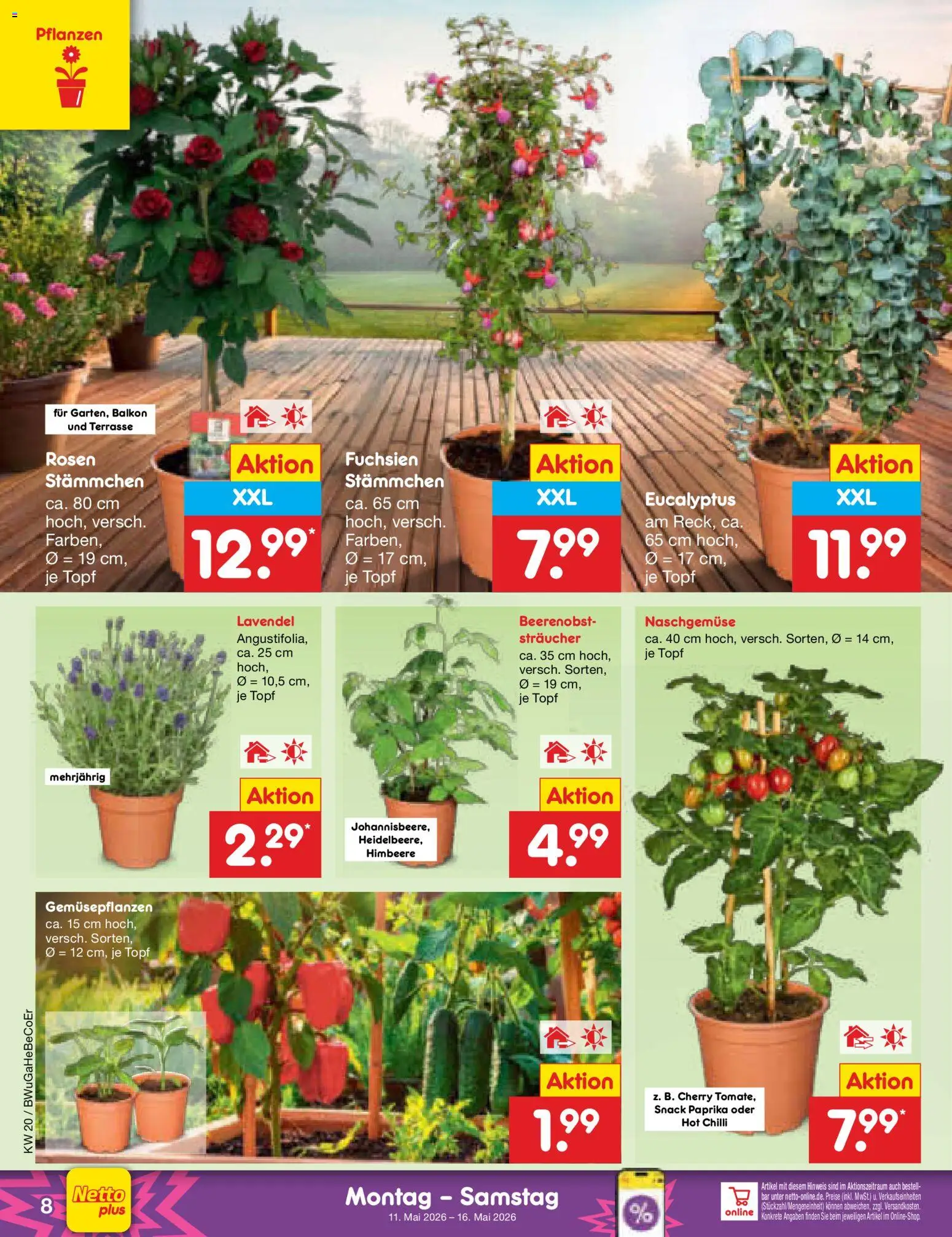 Netto Marken-Discount Prospekt 	 – gültig ab 11.05.2026 | Seite: 10
