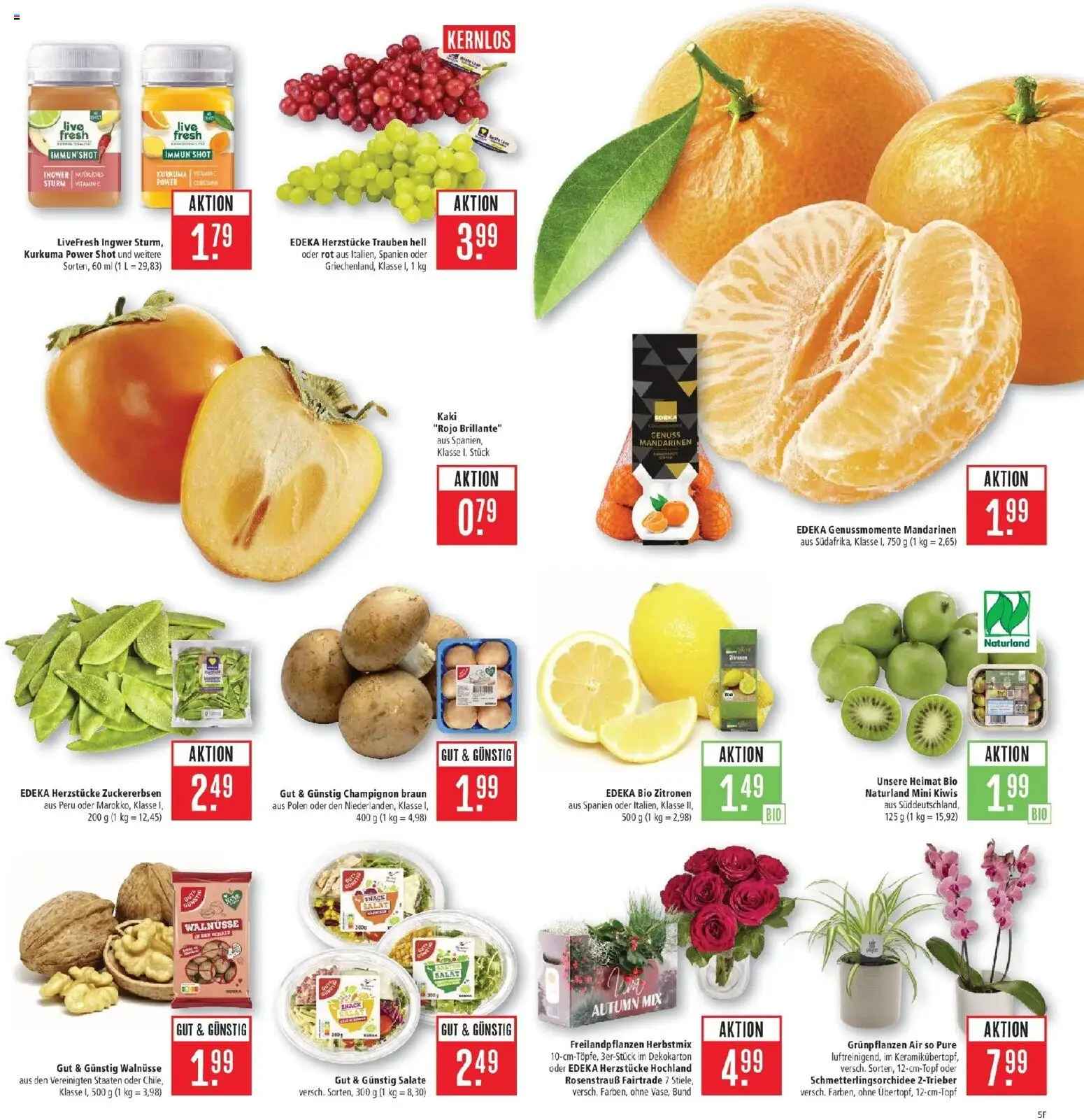 Marktkauf Prospekt Kirchheim (ab 12.10.2026) » Angebote online | Seite: 5 | Produkte: Walnüsse, Trauben, Mandarinen, Zitronen