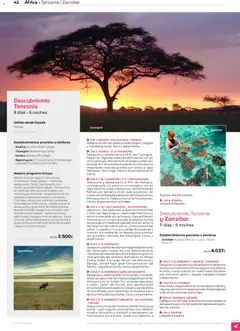 Vista previa Viajes El Corte Inglés Africa y Oriente Medio válido desde el 01.01.2026 | Página: 42 | Productos: Sombra