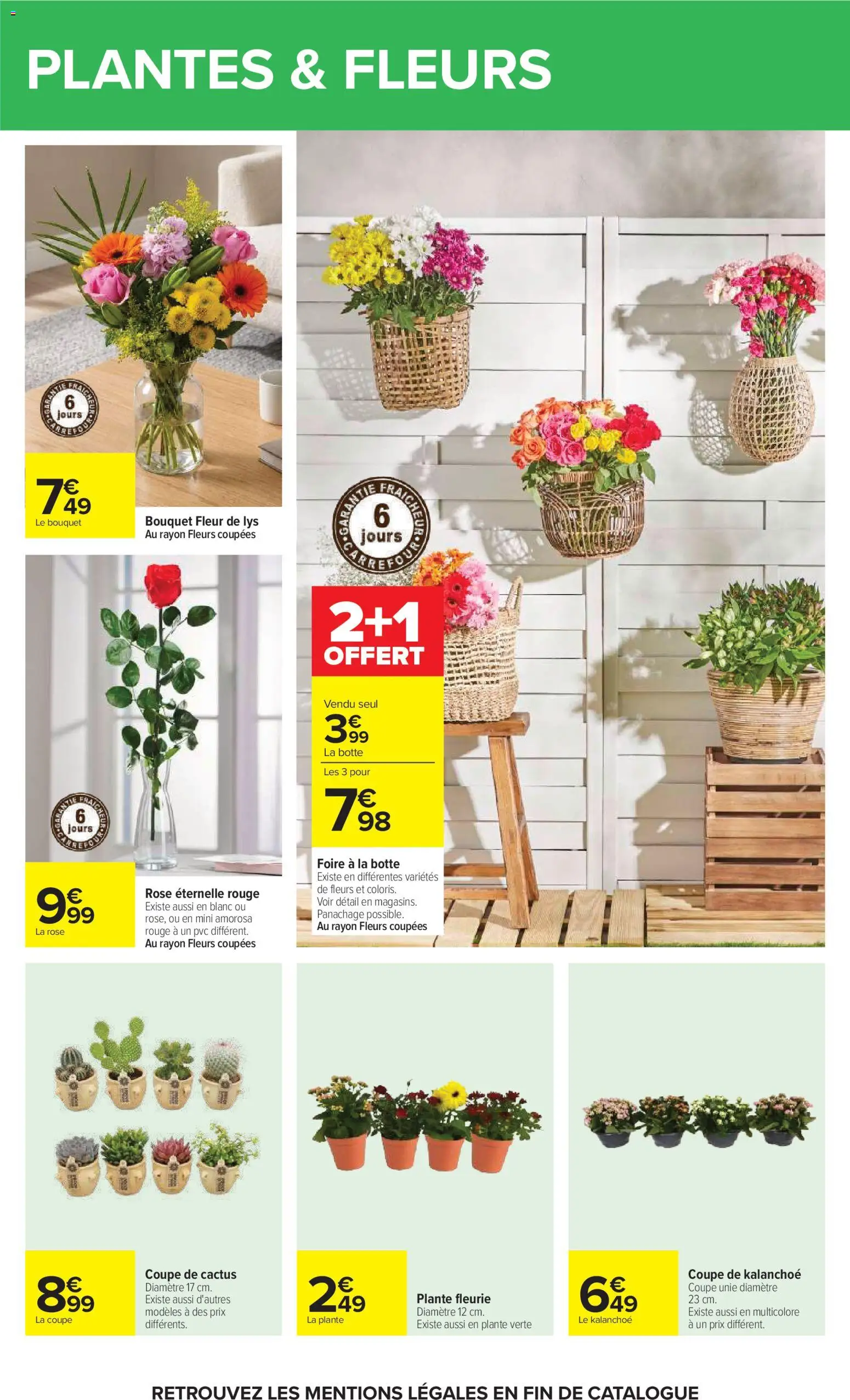 {H1} | Page: 61 | Produits: Plantes, Plante verte