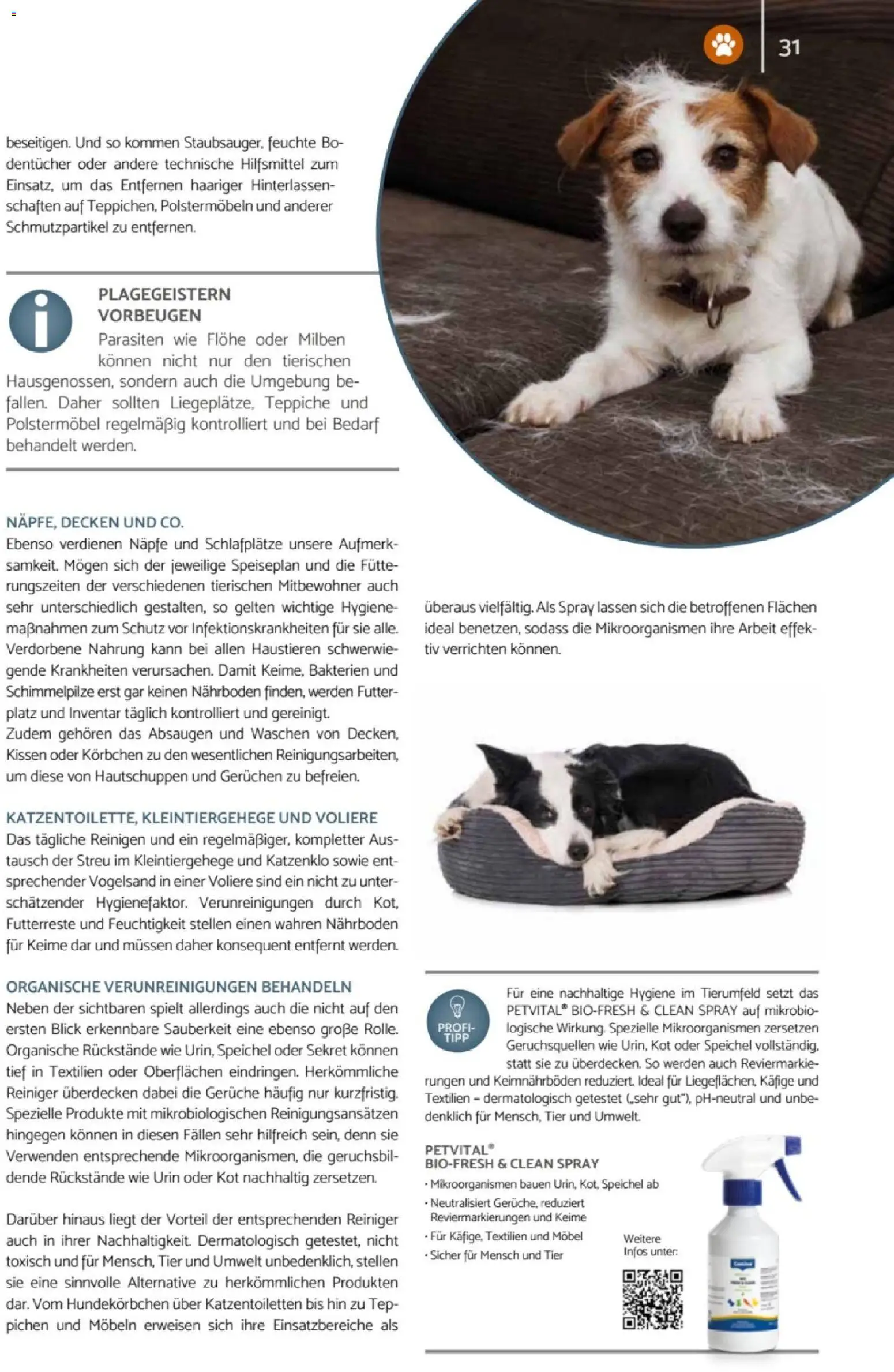 zookauf Heimtier Journal – gültig ab 01.06.2026 | Seite: 31 | Produkte: Kissen
