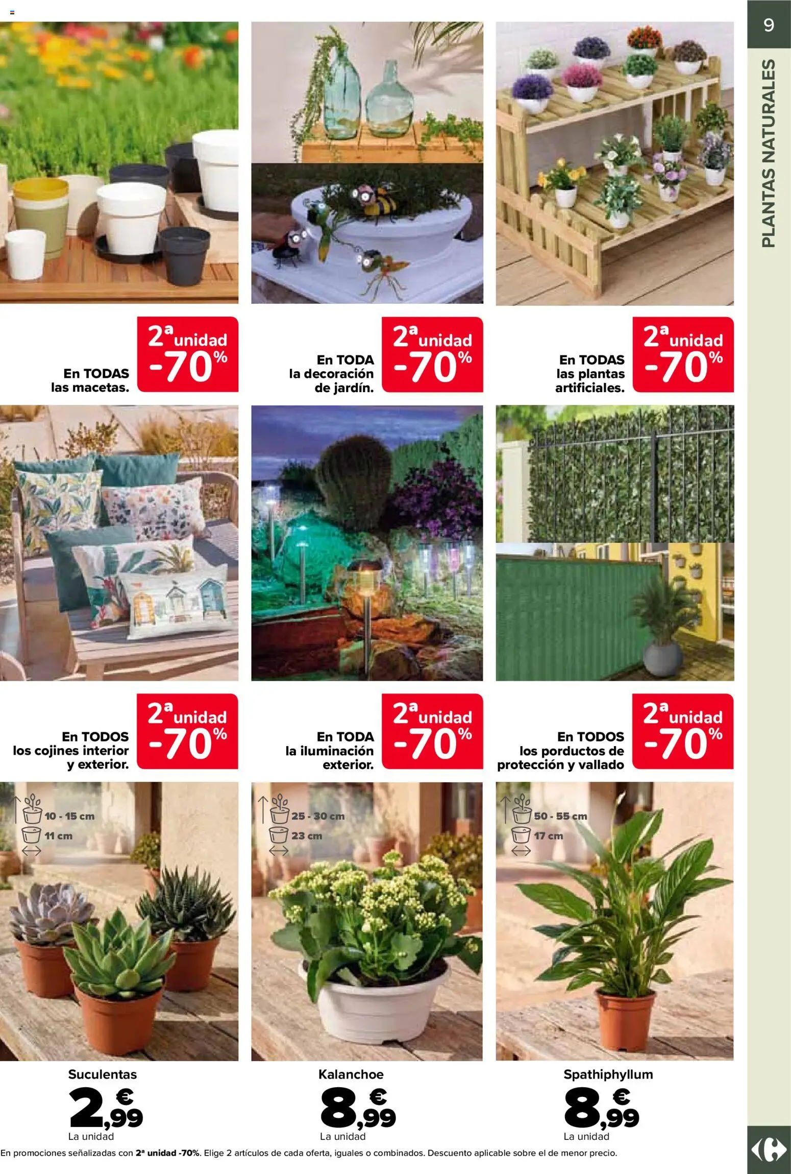 Carrefour Jardin │ válido desde el 19.06.2026 | Página: 9