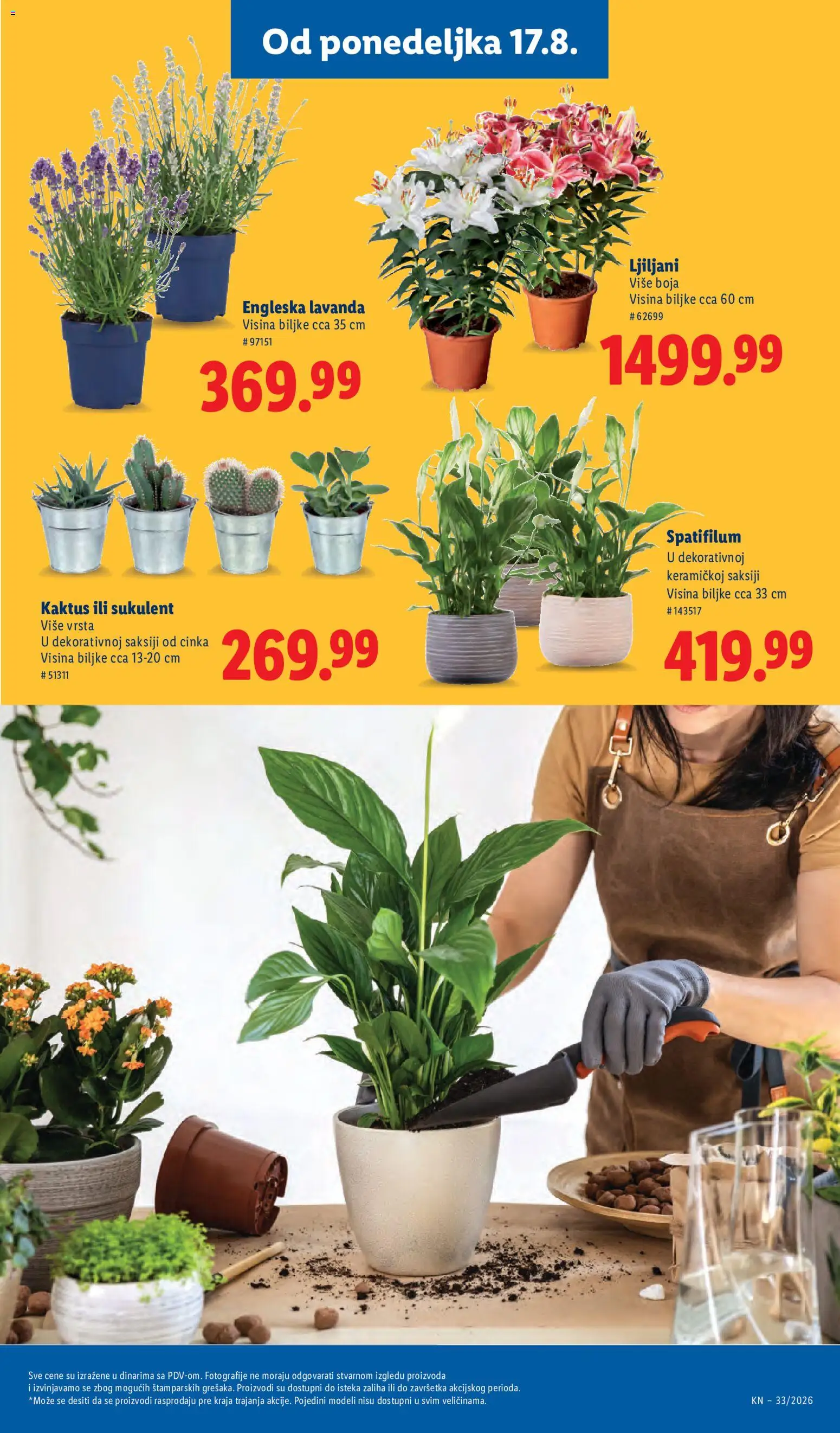 Lidl katalog - važi od 13.08.2026 | Strana: 75