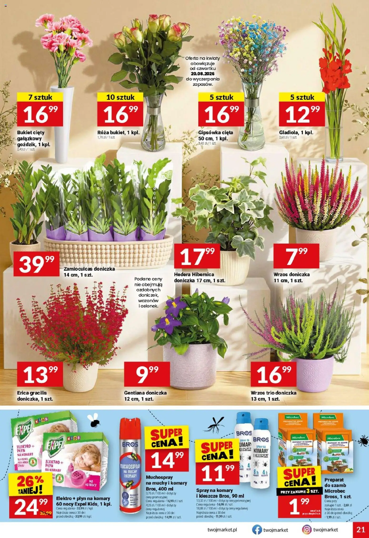 Twój Market gazetka od 19.08.2026 | Strona: 21 | Produkty: Wrzos, Doniczka, Zamioculcas, Kwiaty