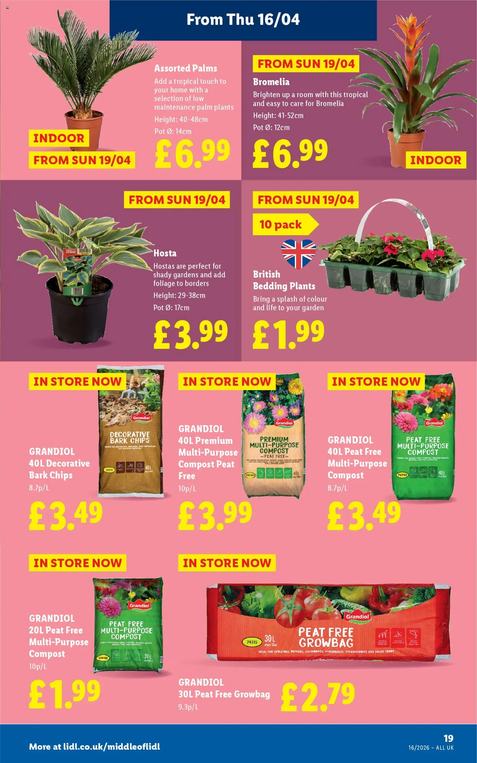 {H1} | Page: 21 | Products: Pot, Strawberries, Chips, Salad
