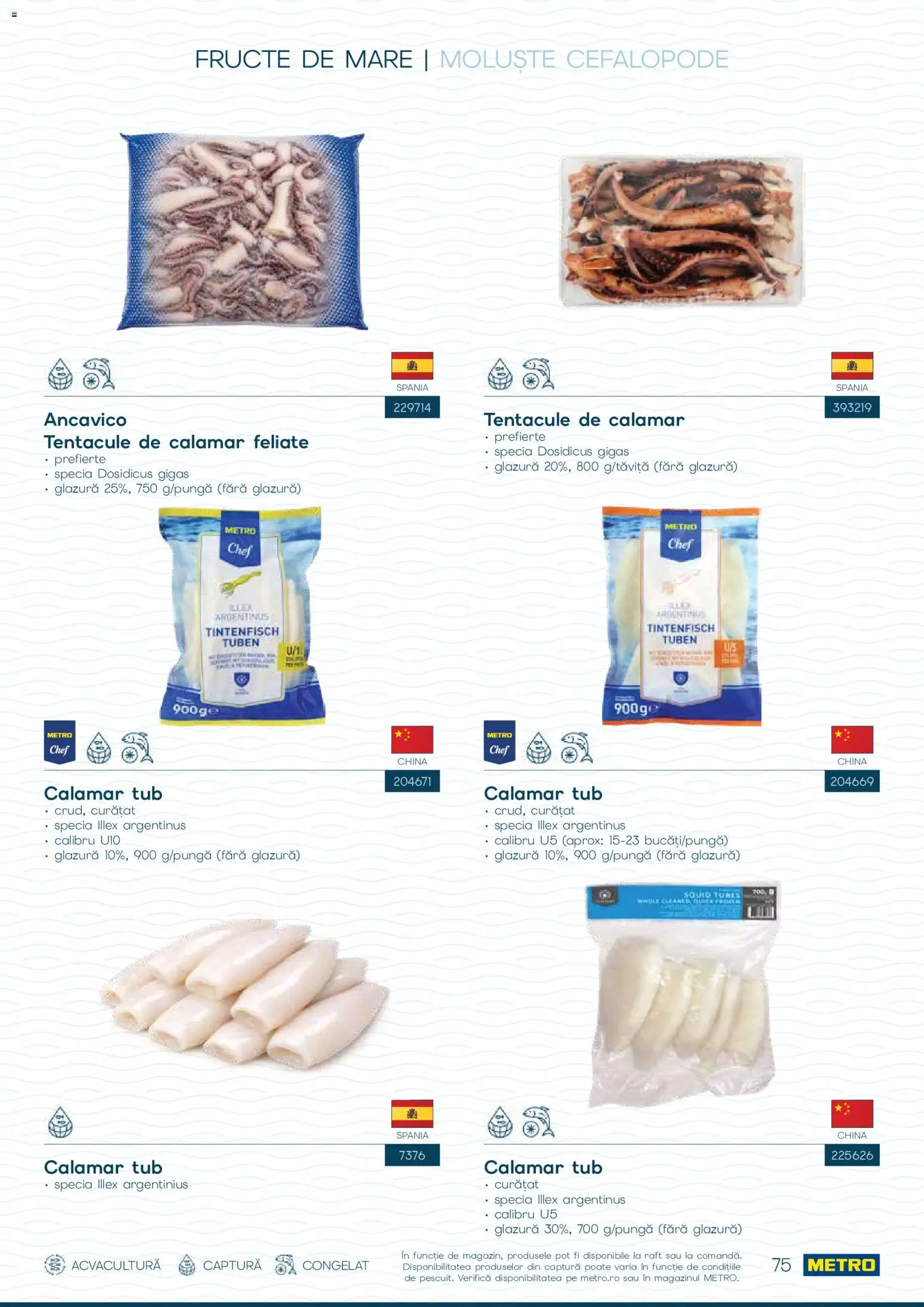 Noul catalog Metro – valabil de la 01.10.2026 | Pagină: 75 | Produse: Raft, Fructe, Fructe De Mare