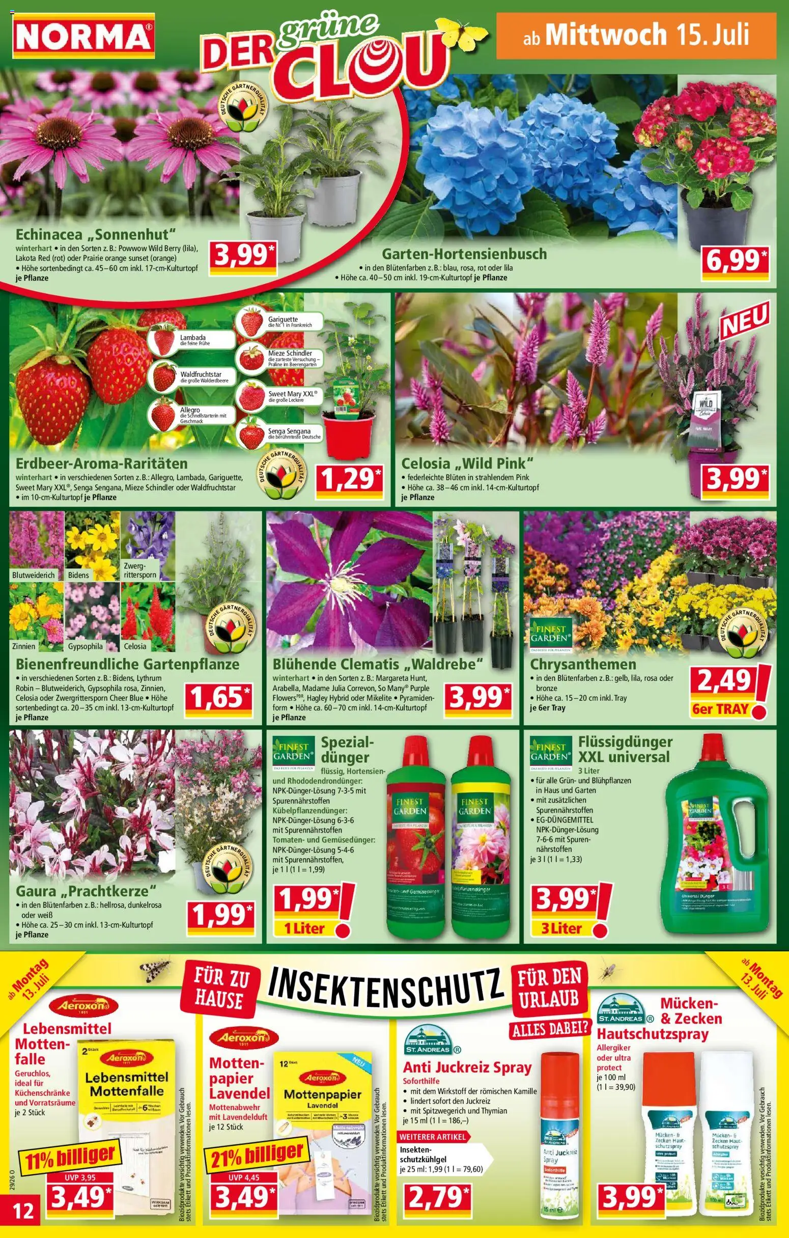 Norma Prospekt – gültig ab 13.07.2026 | Seite: 12 | Produkte: Tomaten, Lavendel