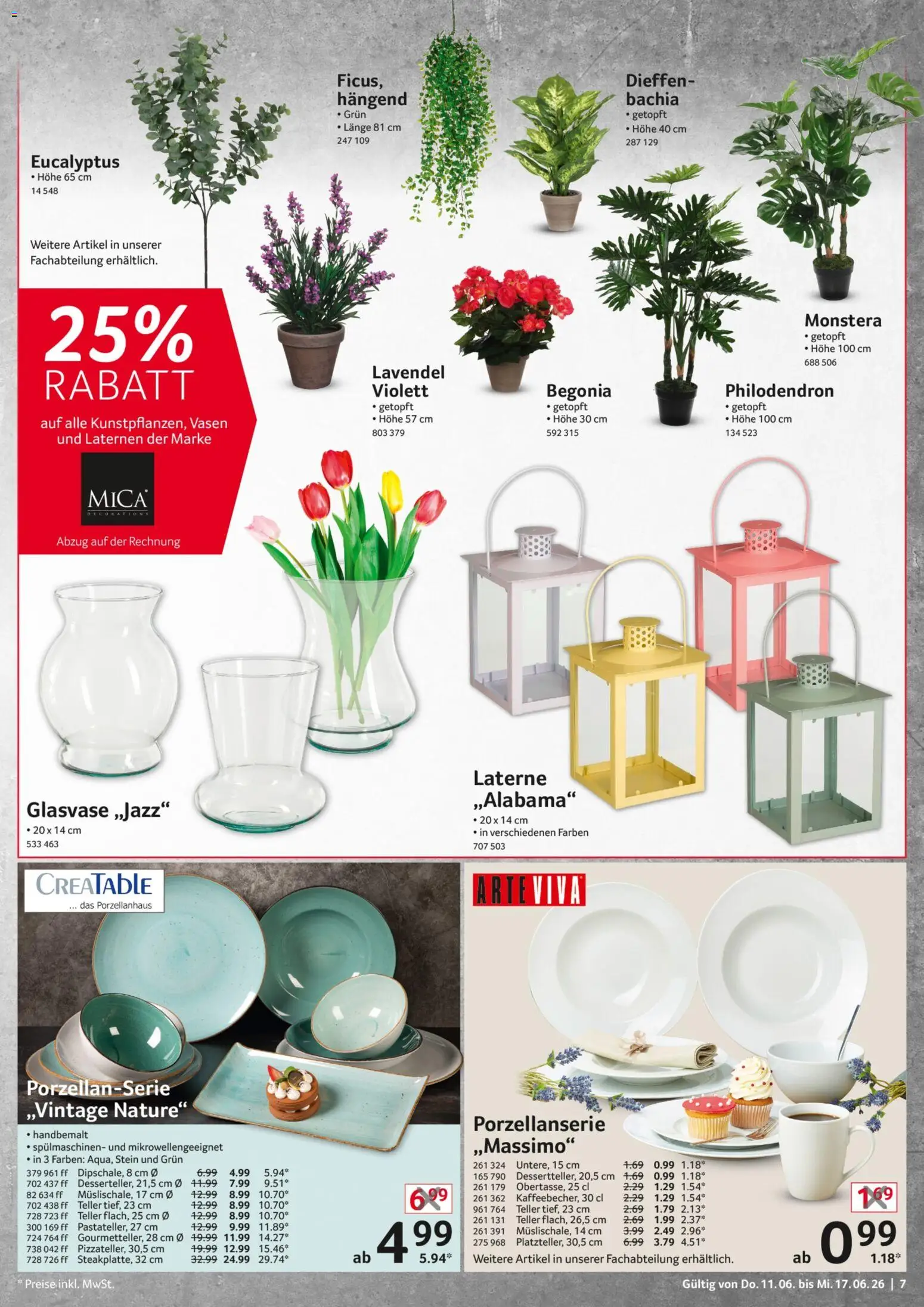 Selgros Non Food – gültig ab 11.06.2026 | Seite: 7 | Produkte: Lavendel