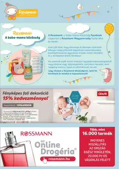 Fényképes fali dekoráció 15% kedvezménnyel*, Photo wall decoration with 15% discount. - amely érvényes a következő dátumtól: 18.05.2026 | Oldal: 13 | Termékek: Sütőtök, Dekoráció