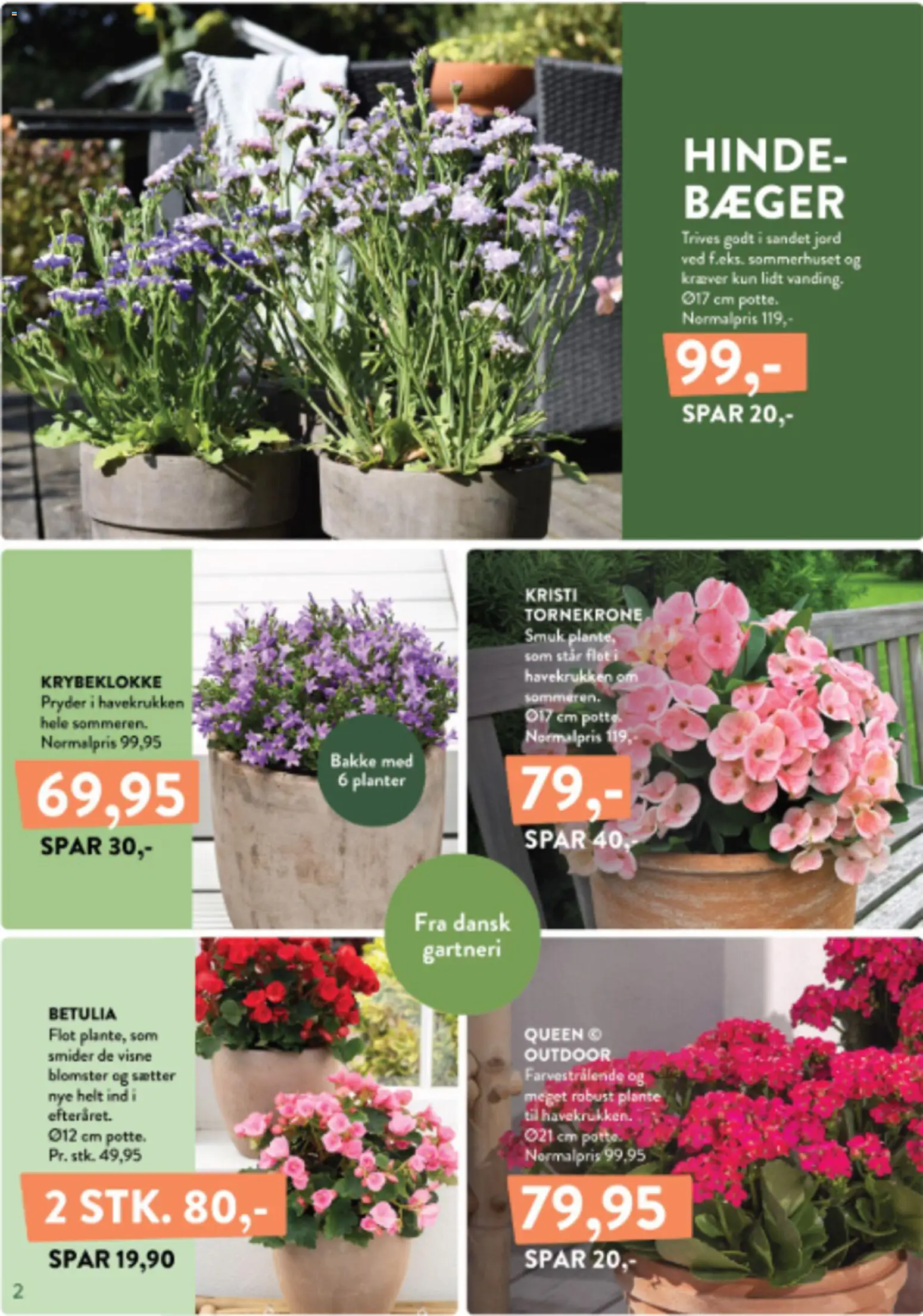 Plantorama tilbudsavis – gyldig fra 04.06.2026 | Side: 2