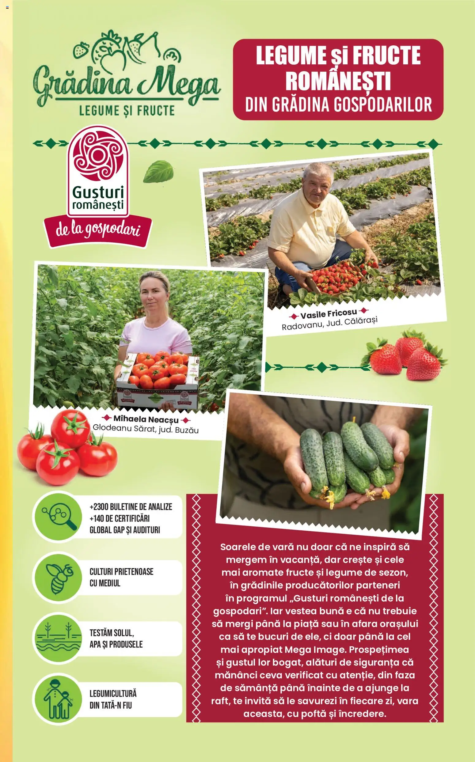 Catalog Mega Image 16.07.2026 — page 11