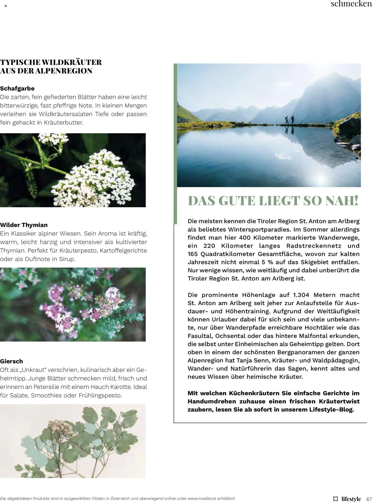 Müller Magazine Lifestyle 4/26 gültig ab 14.07.2026 | Seite: 67