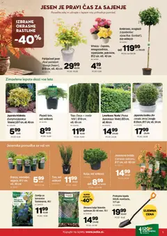 Kalia katalog akcije – veljaven od 05.10.2026 | Stran: 5 | Izdelki: Žemlja, Borovnice