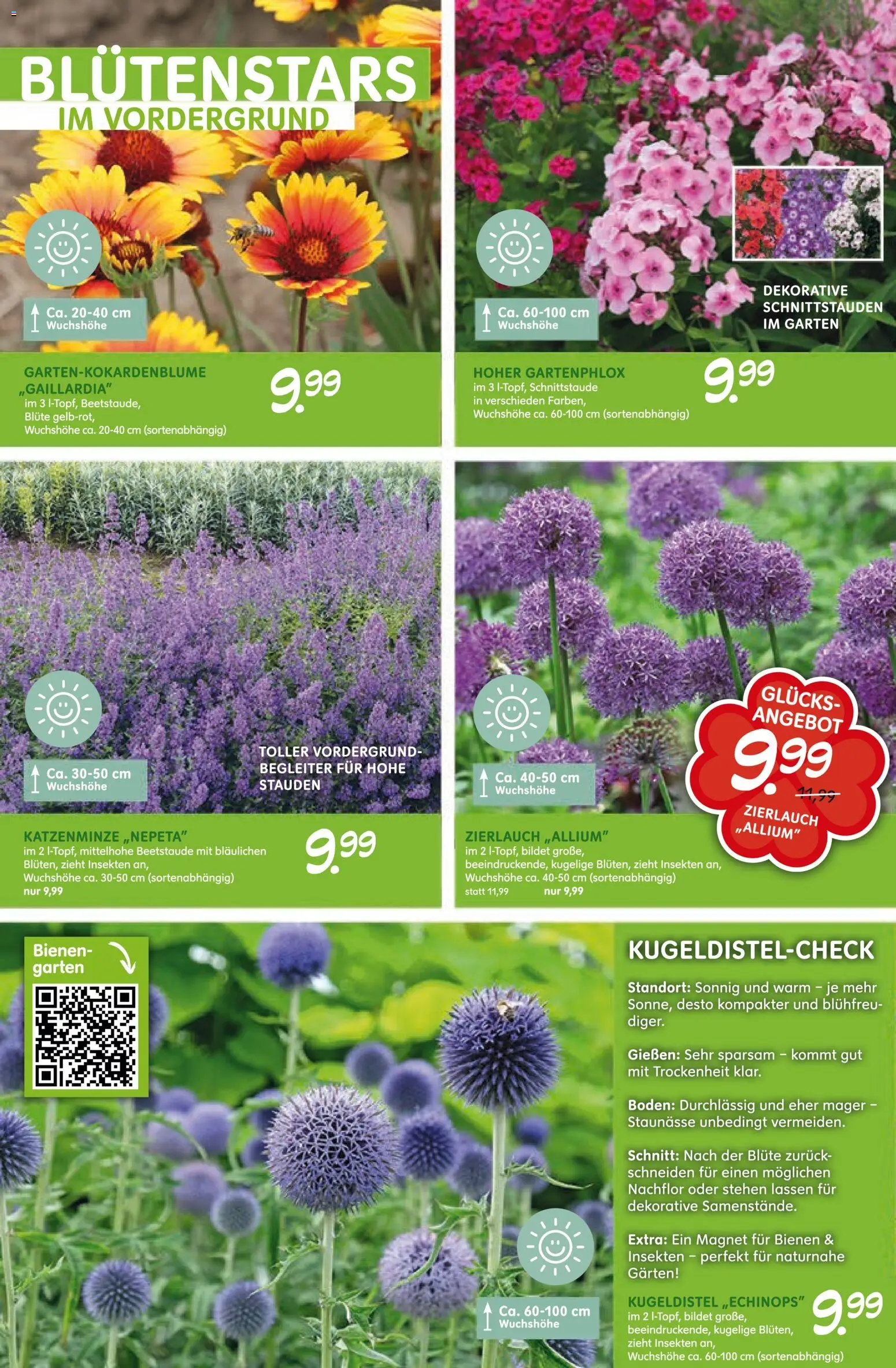 Blumen Risse Blütenglück – gültig ab 28.05.2026 | Seite: 8