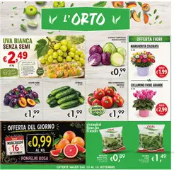 Anteprima del volantino Coal volantino valido a partire dal 10/09/2026 | Pagina: 6