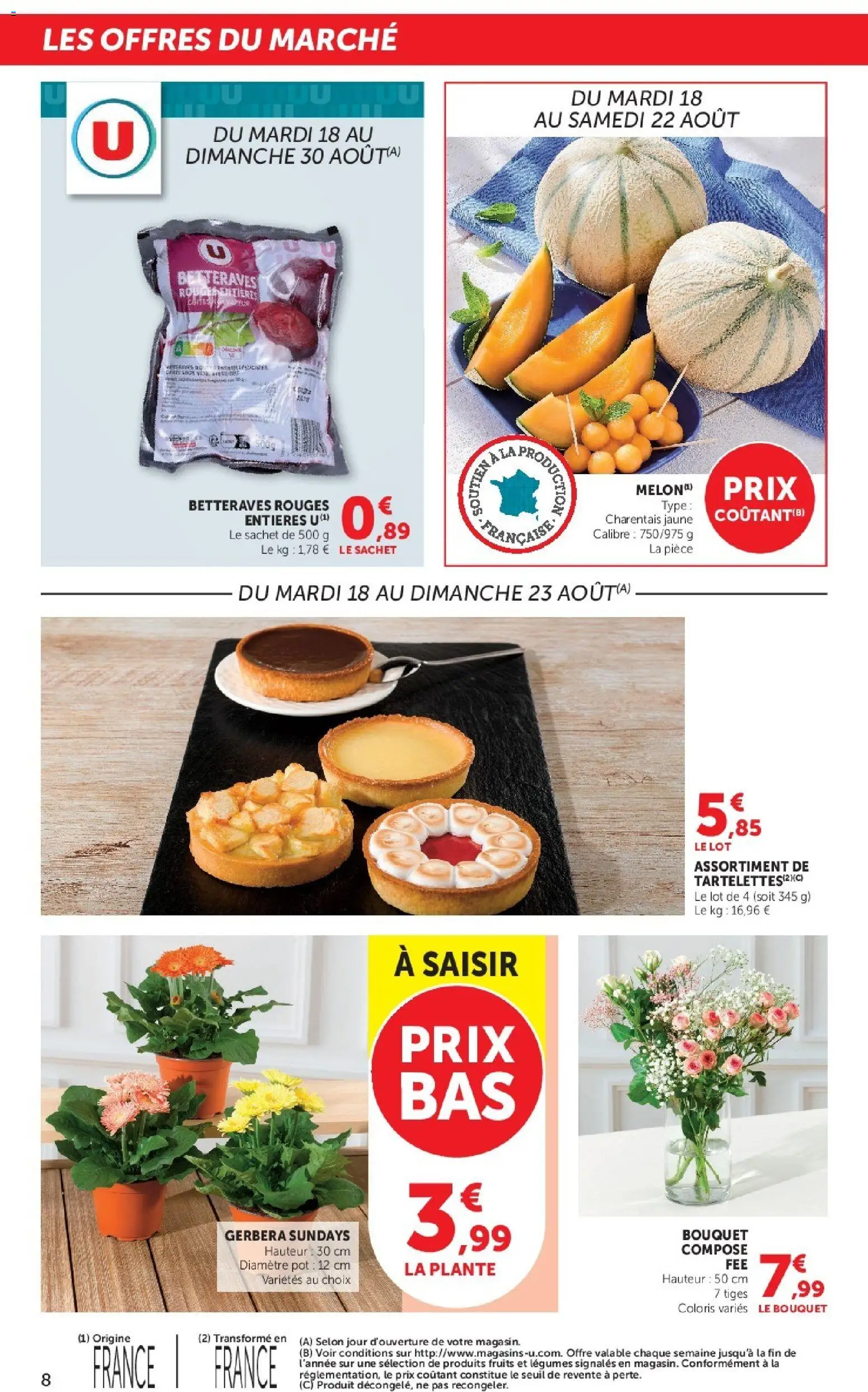 {H1} | Page: 8 | Produits: Gerbera, Fruits