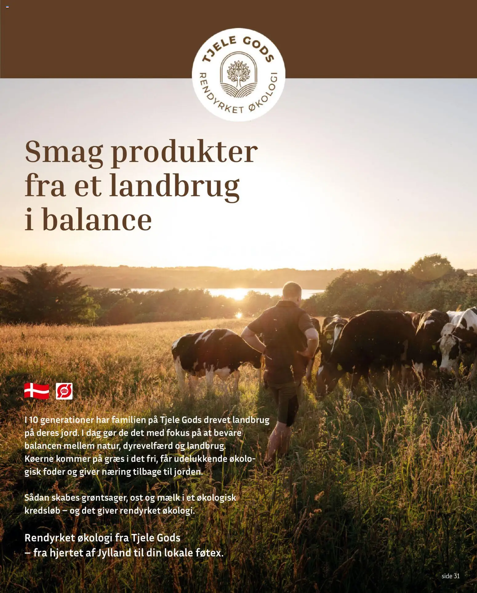 Føtex tilbudsavis – gyldig fra 26/06/2026 | Side: 33 | Produkter: Mælk, Ost