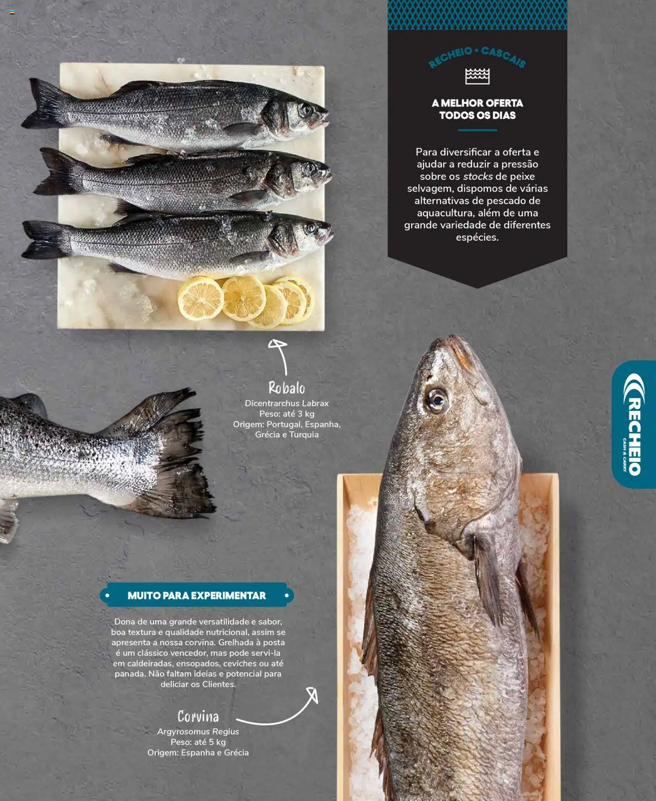 Recheio Peixaria │ válido de 19/09/2024 | Página: 11 | Produtos: Peixe