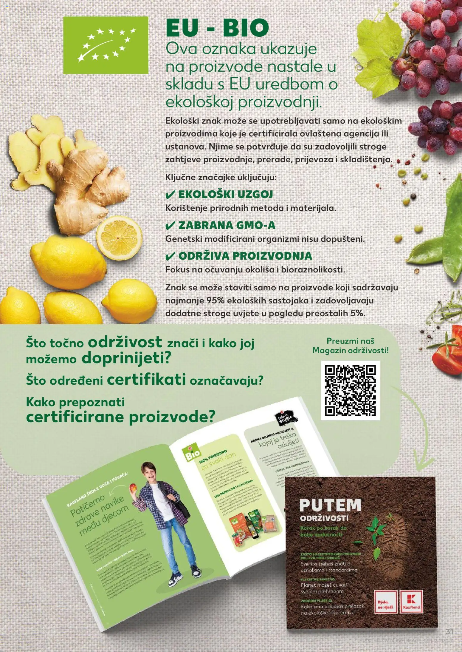 Kaufland katalog | vrijedi od 10.06.2026 | Stranica: 31