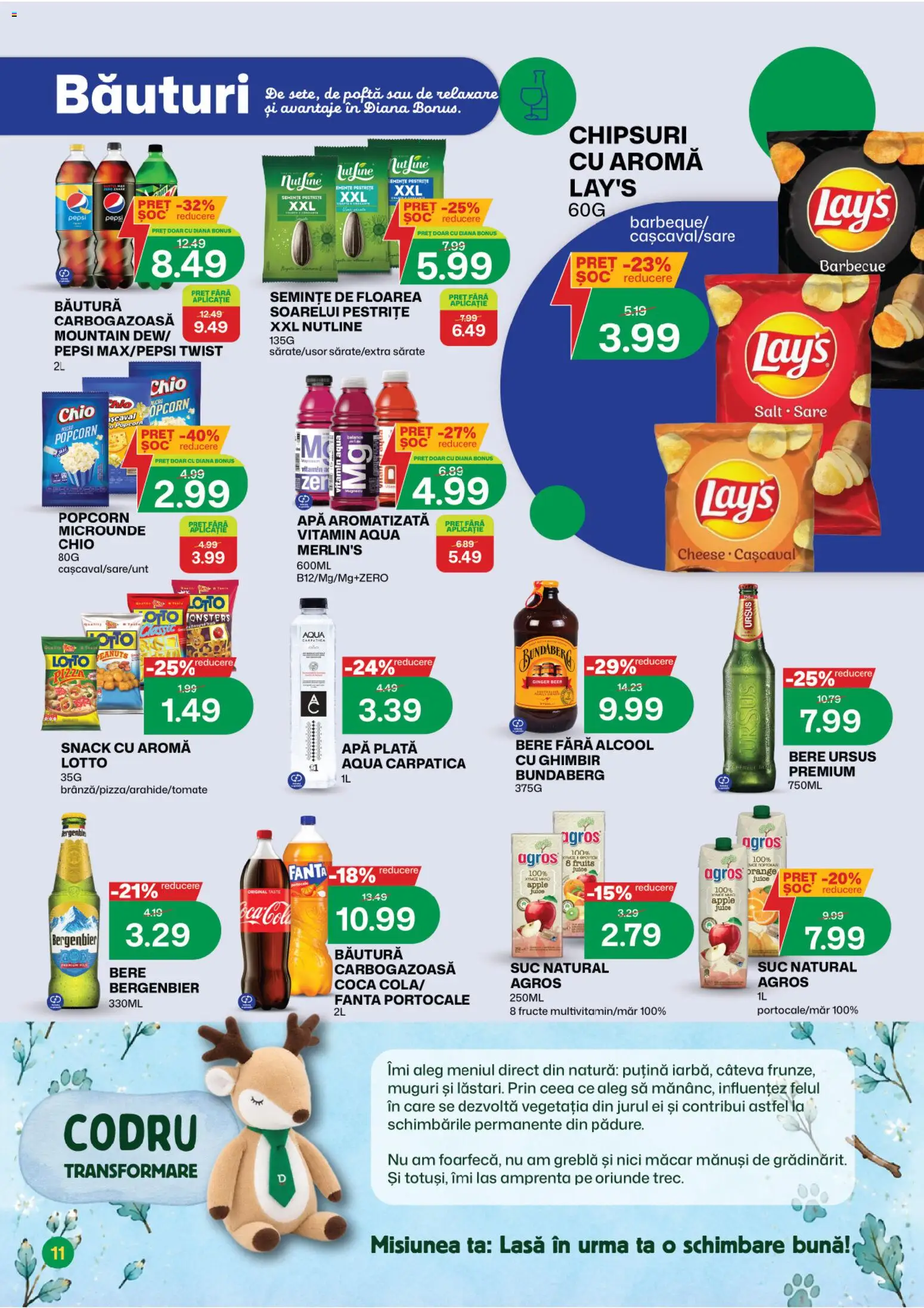 Noul catalog Diana – valabil de la 01.10.2026 | Pagină: 11