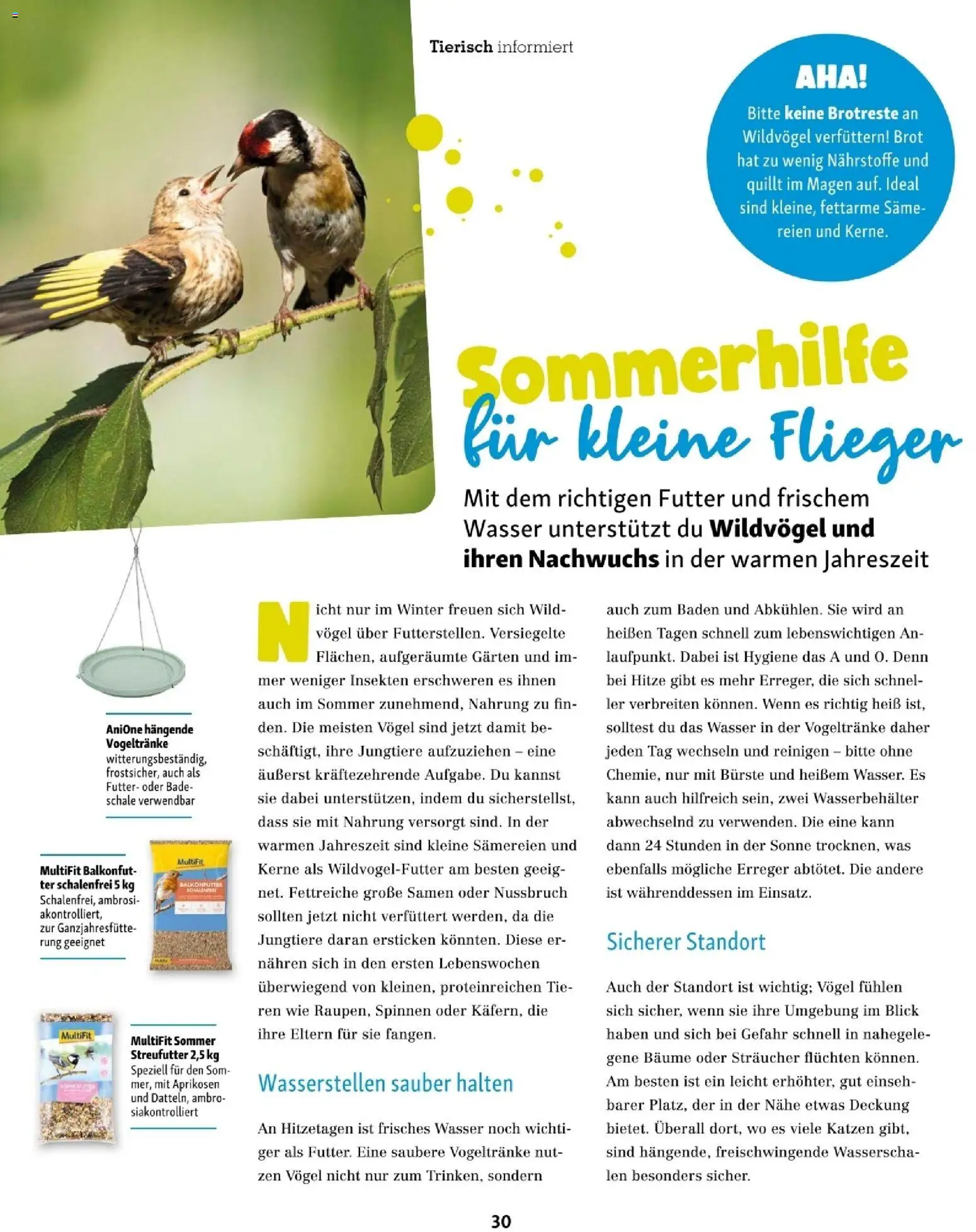 Fressnapf Friends 07,08/26 gültig ab 01.07.2026 | Seite: 30 | Produkte: Wasser, Bürste, Brot