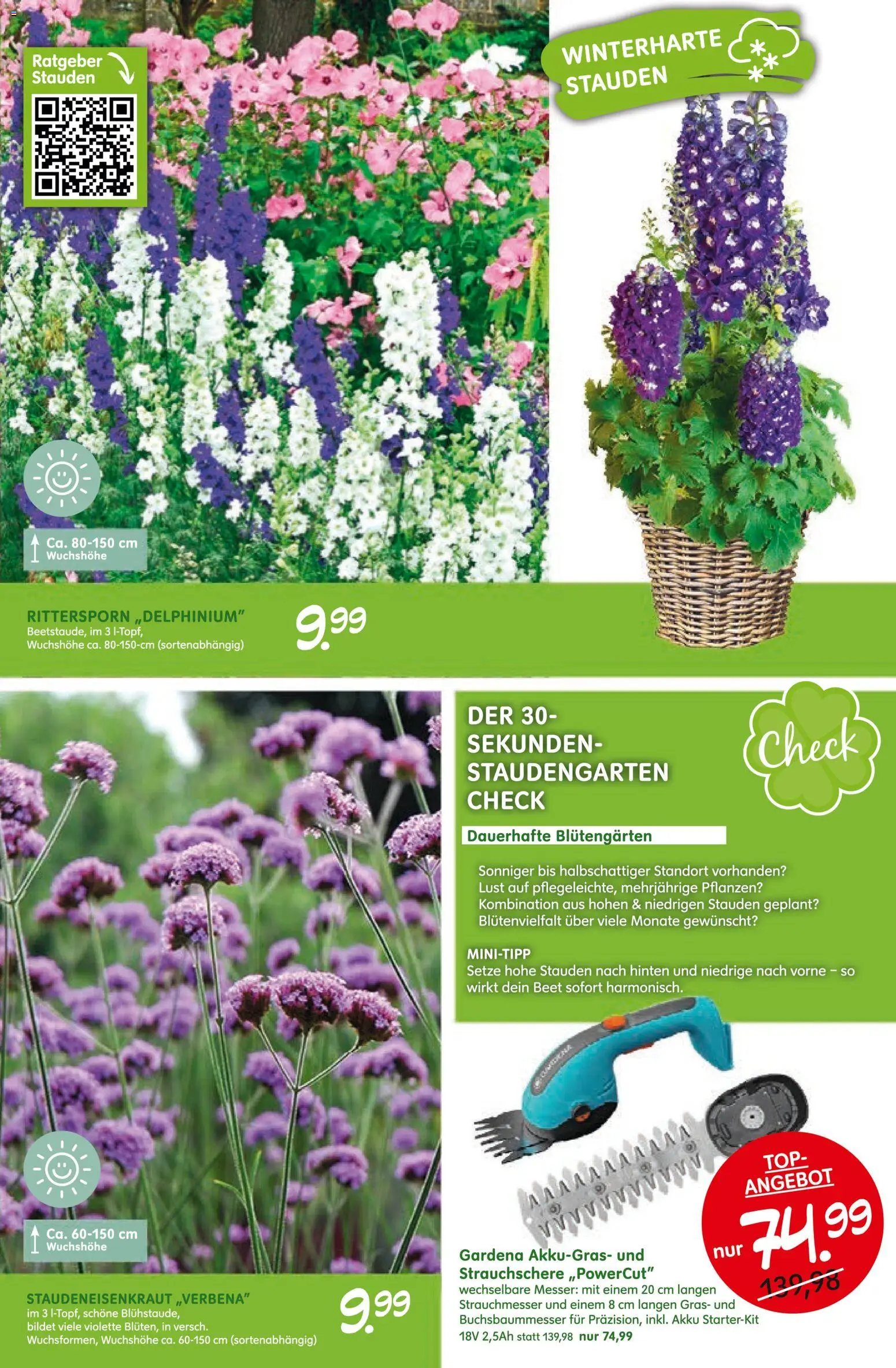 Blumen Risse Blütenglück – gültig ab 28.05.2026 | Seite: 7 | Produkte: Top
