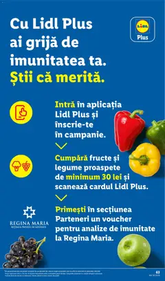 Ofertele Lidl valabile de la 17.08.2026 | Pagină: 63 | Produse: Regina, Legume, Fructe, Plus