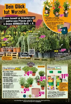 Hornbach aktionen ab 07.07.2026 gültig | Seite: 7 | Produkte: Deckel