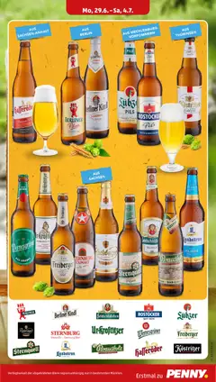 Lübzer Pils, Lübzer Pils ab 29.06.2026 gültig | Seite: 21 | Produkte: Bier, Pils, Radeberger pilsner, Berliner pilsner