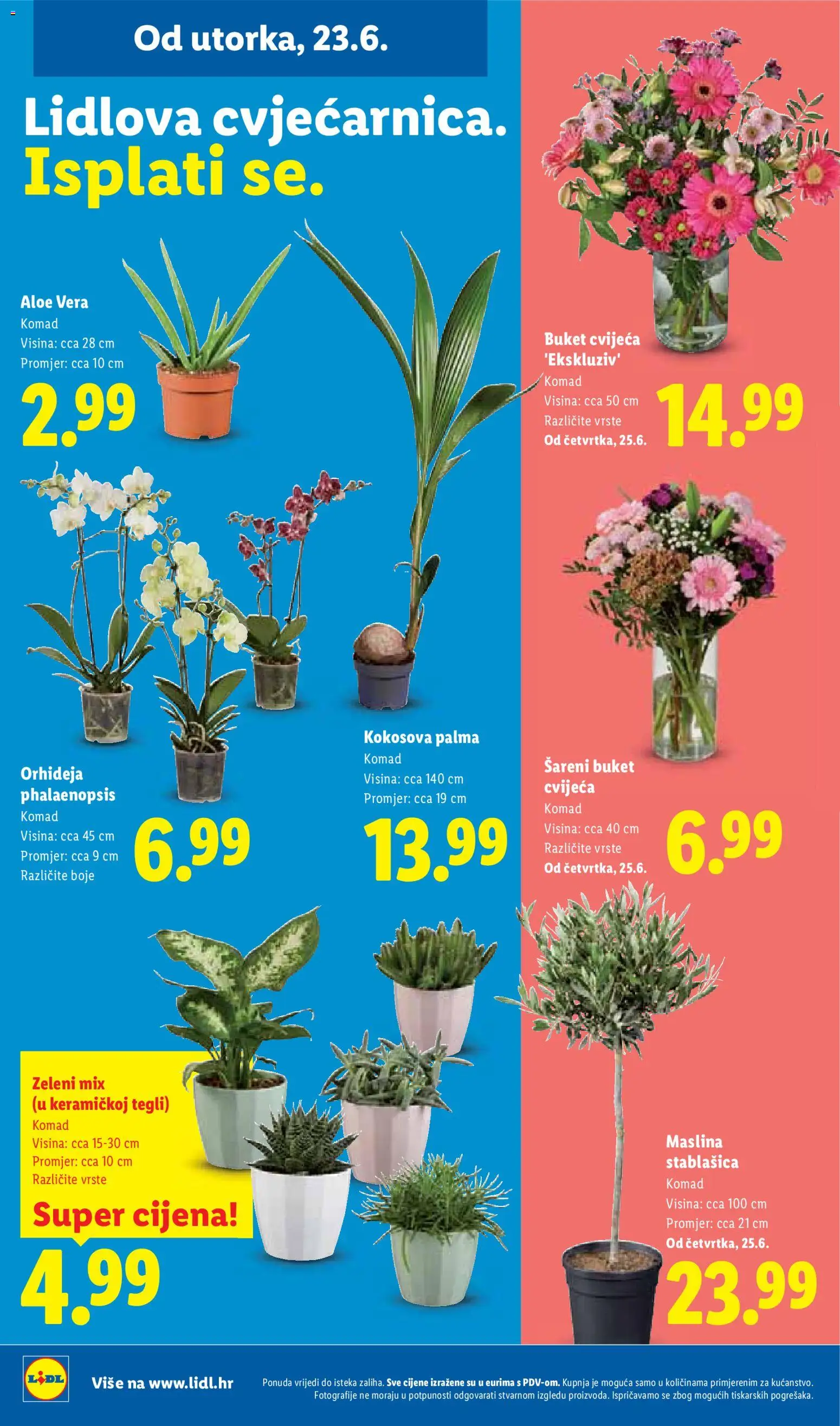 Lidl katalog | vrijedi od 23.06.2026 | Stranica: 50