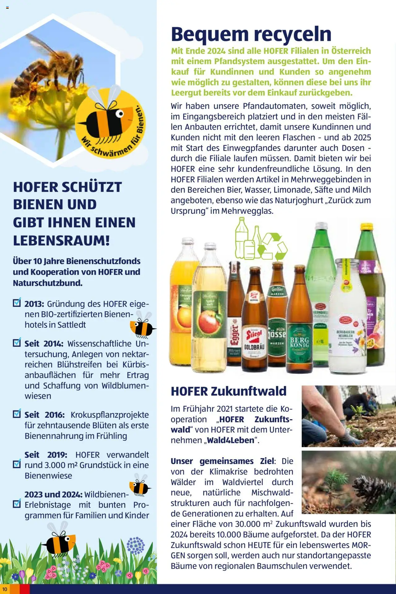 Hofer Heute für Morgen-Magazin gültig ab 02.10.2024 | Seite: 10 | Produkte: Kürbis, Milch
