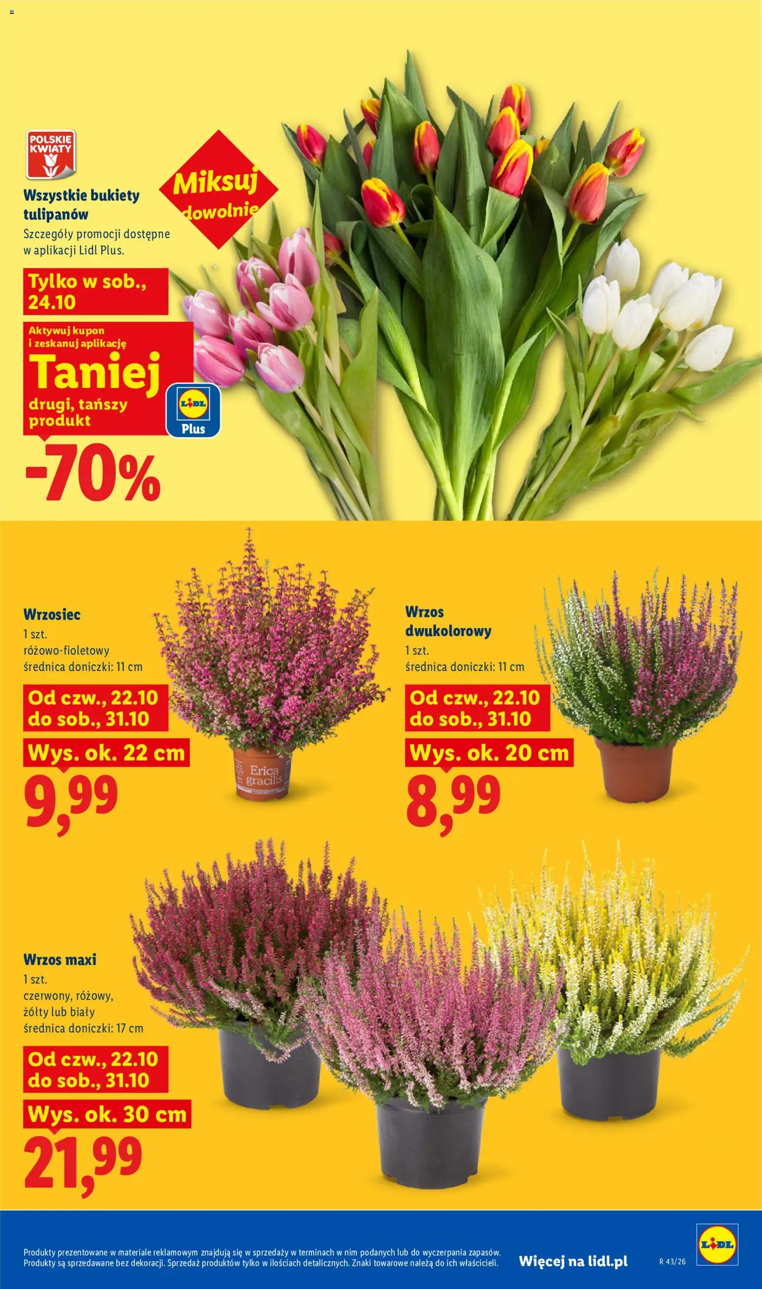Lidl Polsko katalog od 22.10.2026 | Strana: 103