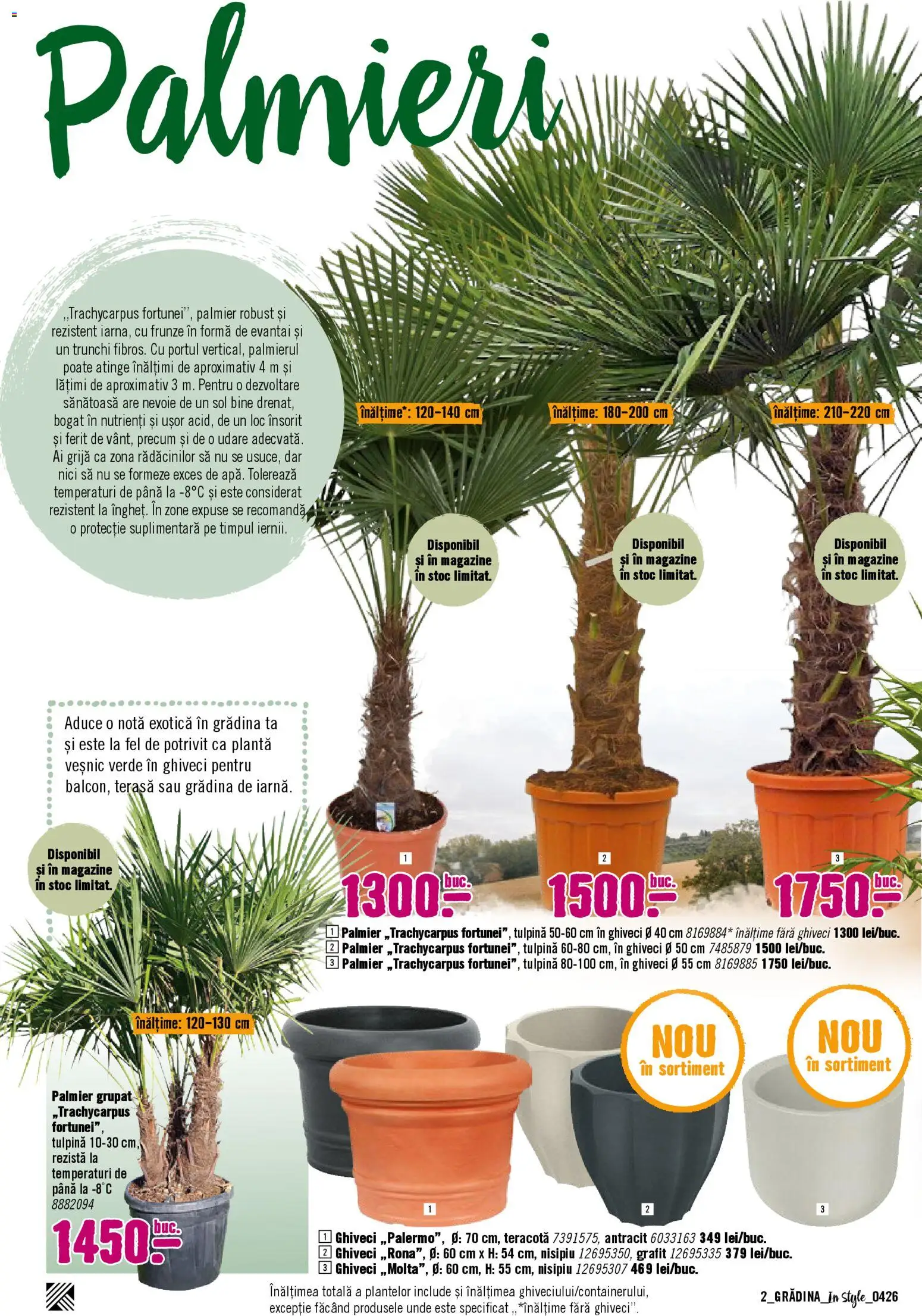 Noul catalog Hornbach – valabil de la 06.04.2026 | Pagină: 2 | Produse: Ghiveci
