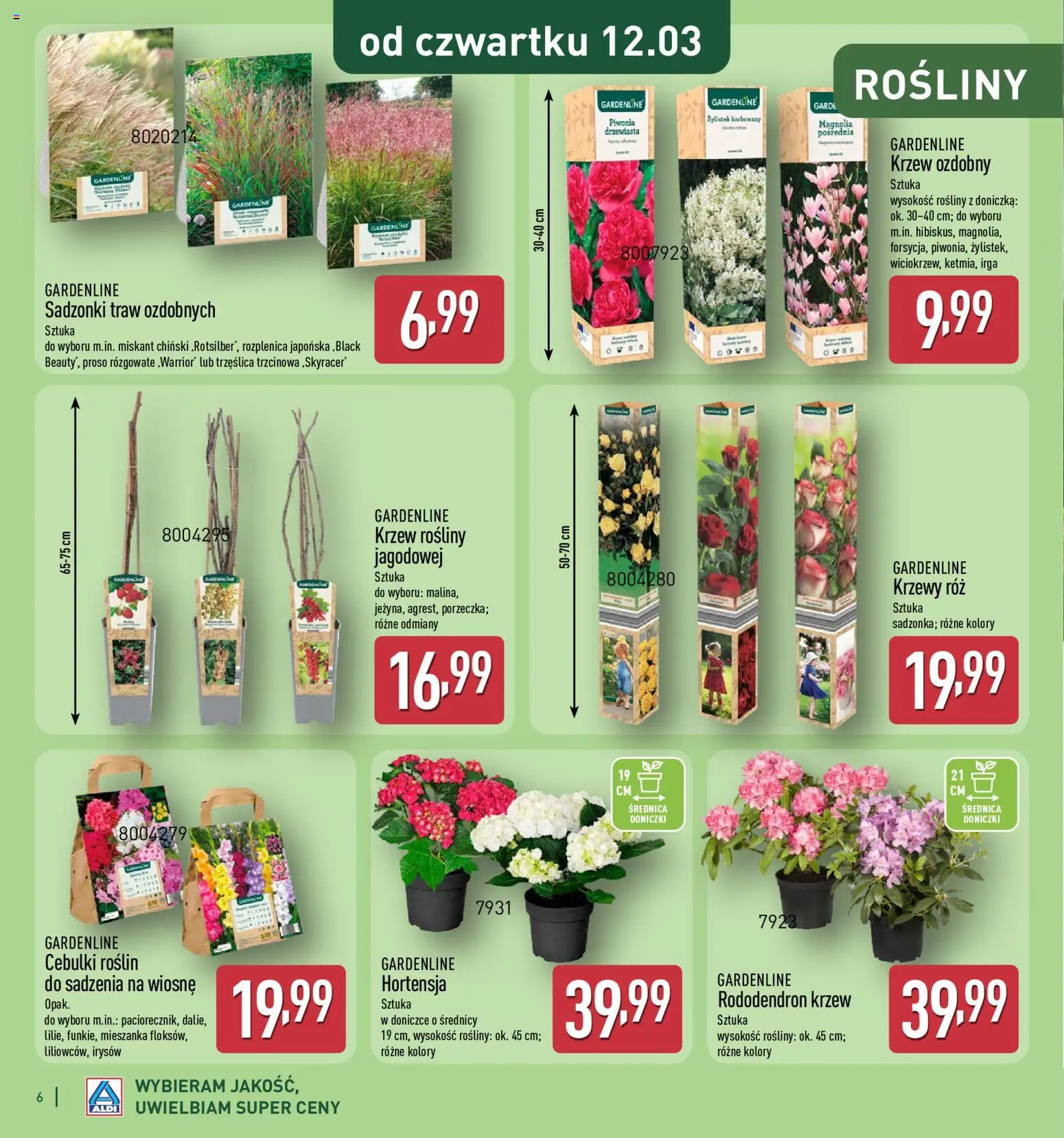 Aldi Gazetka - Katalog ogrodowy od 25.02.2026 | Strona: 6 | Produkty: Doniczka, Rosliny, Doniczki, Róż