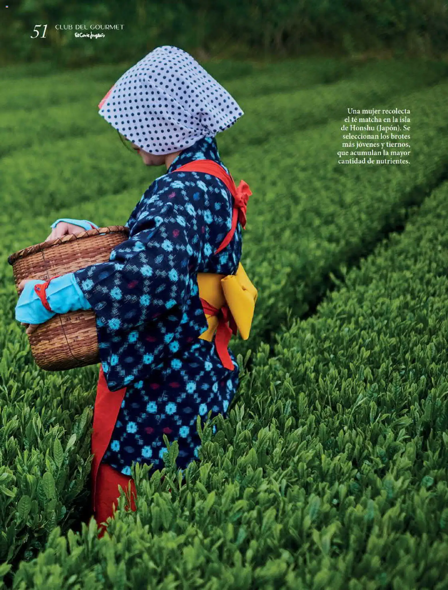 El Corte Inglés Gourmet Magazine │ válido desde el 01/10/2026 | Página: 51 | Productos: Té, Matcha