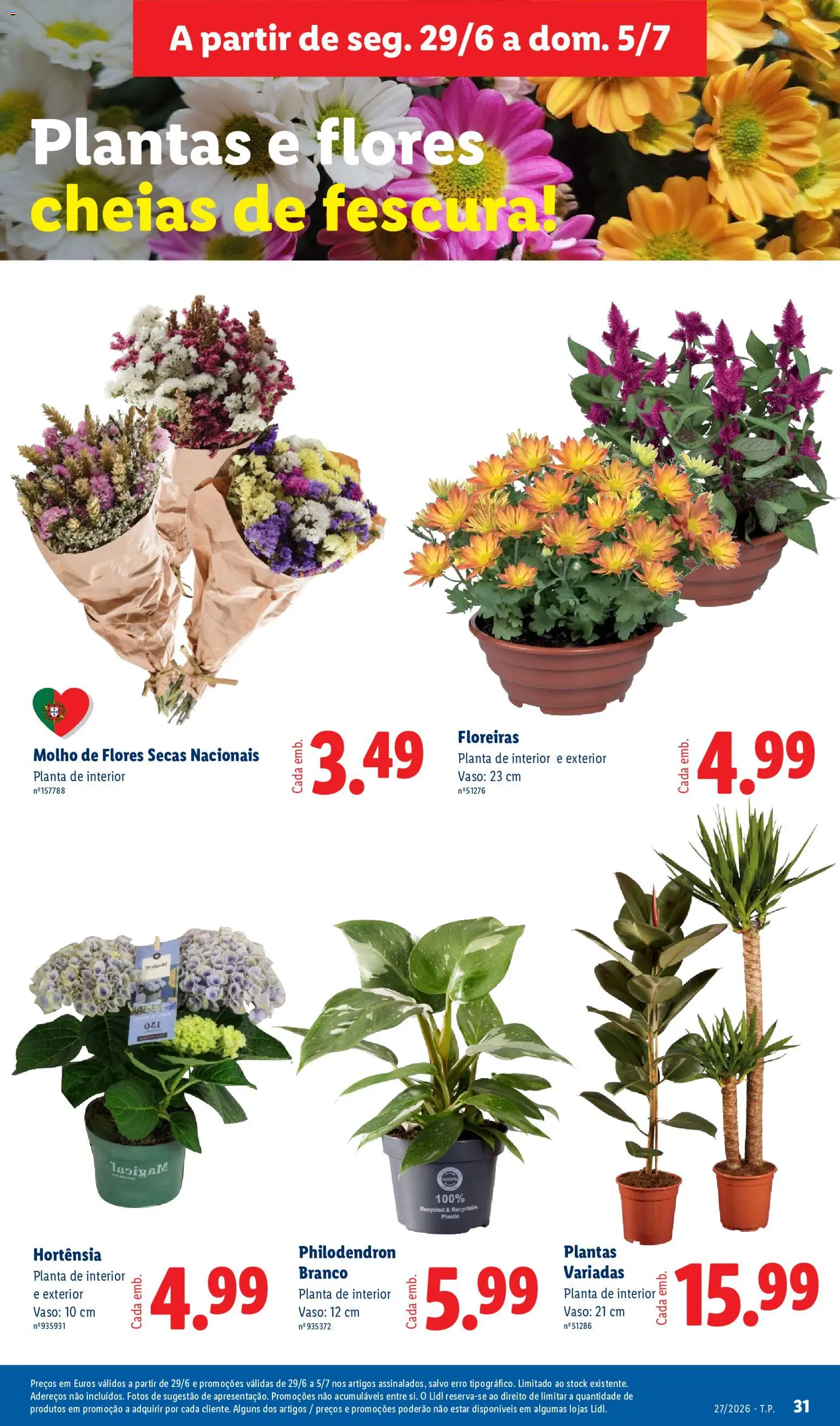 Lidl folheto │ válido de 29/06/2026 | Página: 31