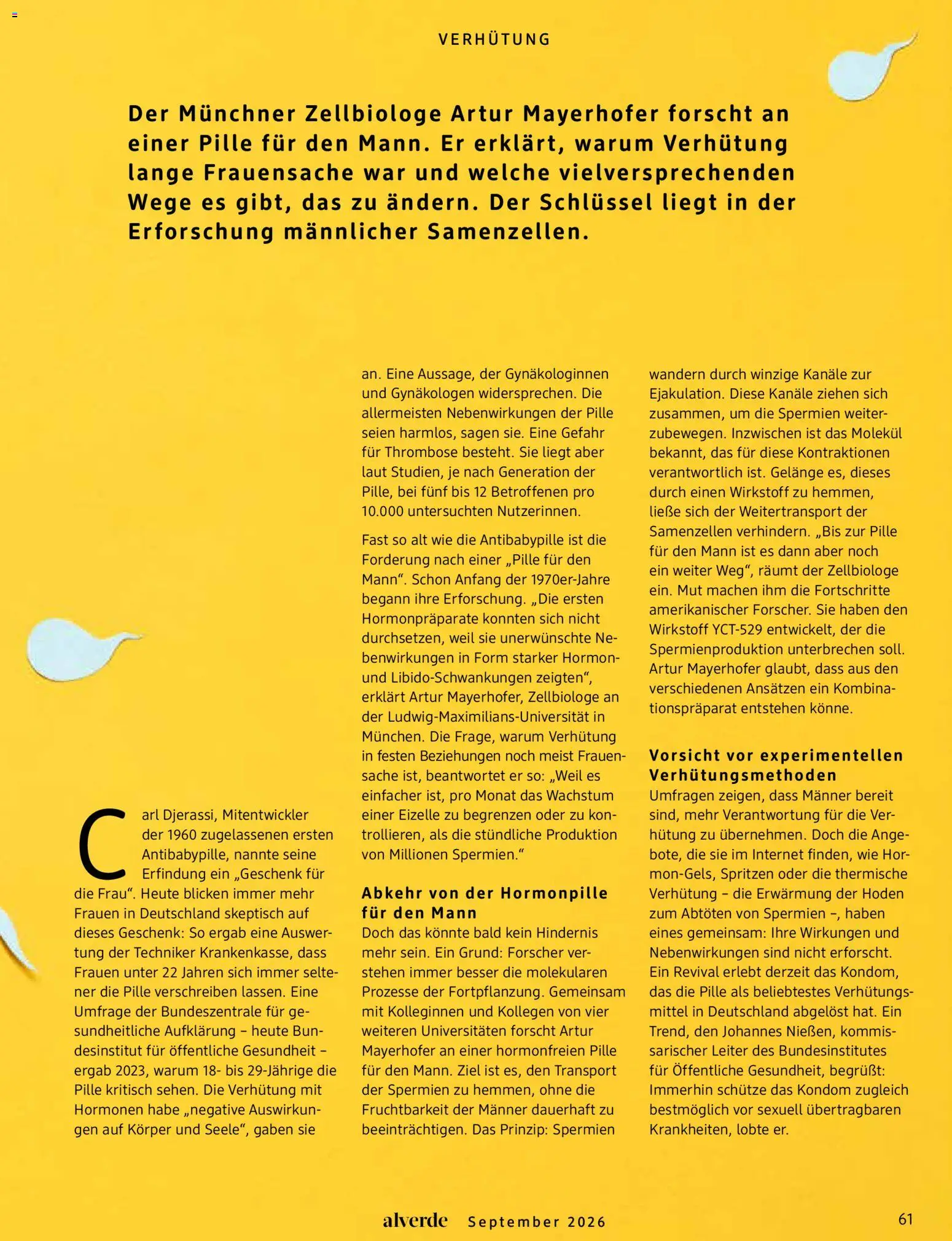 dm drogerie Prospekt – gültig ab 01.09.2026 | Seite: 61