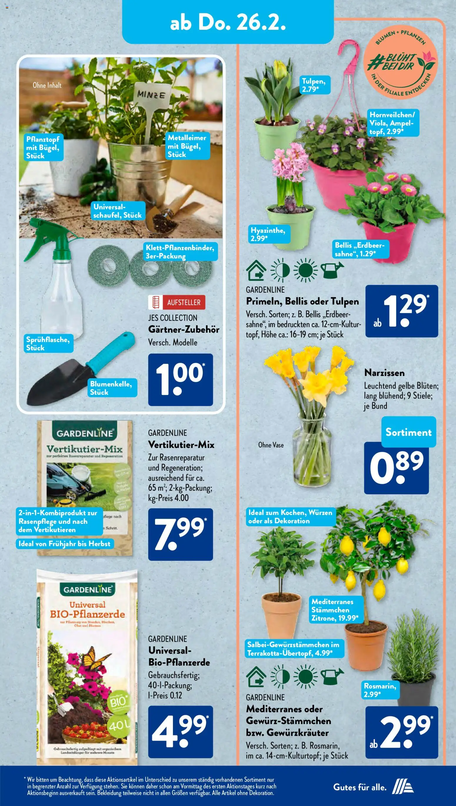 Aldi Süd Prospekt 	 – gültig ab 23.02.2026 | Seite: 19 | Produkte: Schokolade, Hose