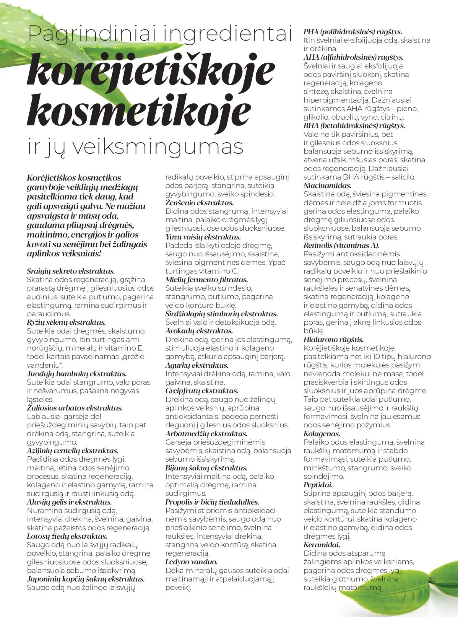 Eurokos akcijos nuo 2025.11.25 | Puslapis: 22 | Prekių: Vanduo