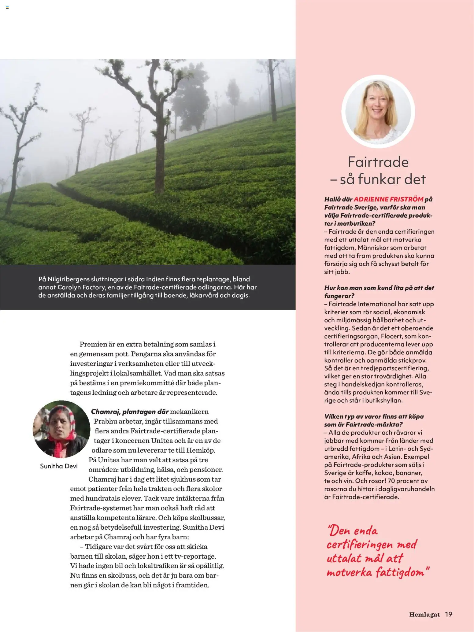 Hemköp reklamblad aktuell från 30/09/2026 | Sida: 19 | Produkter: Te, Lever, Rör