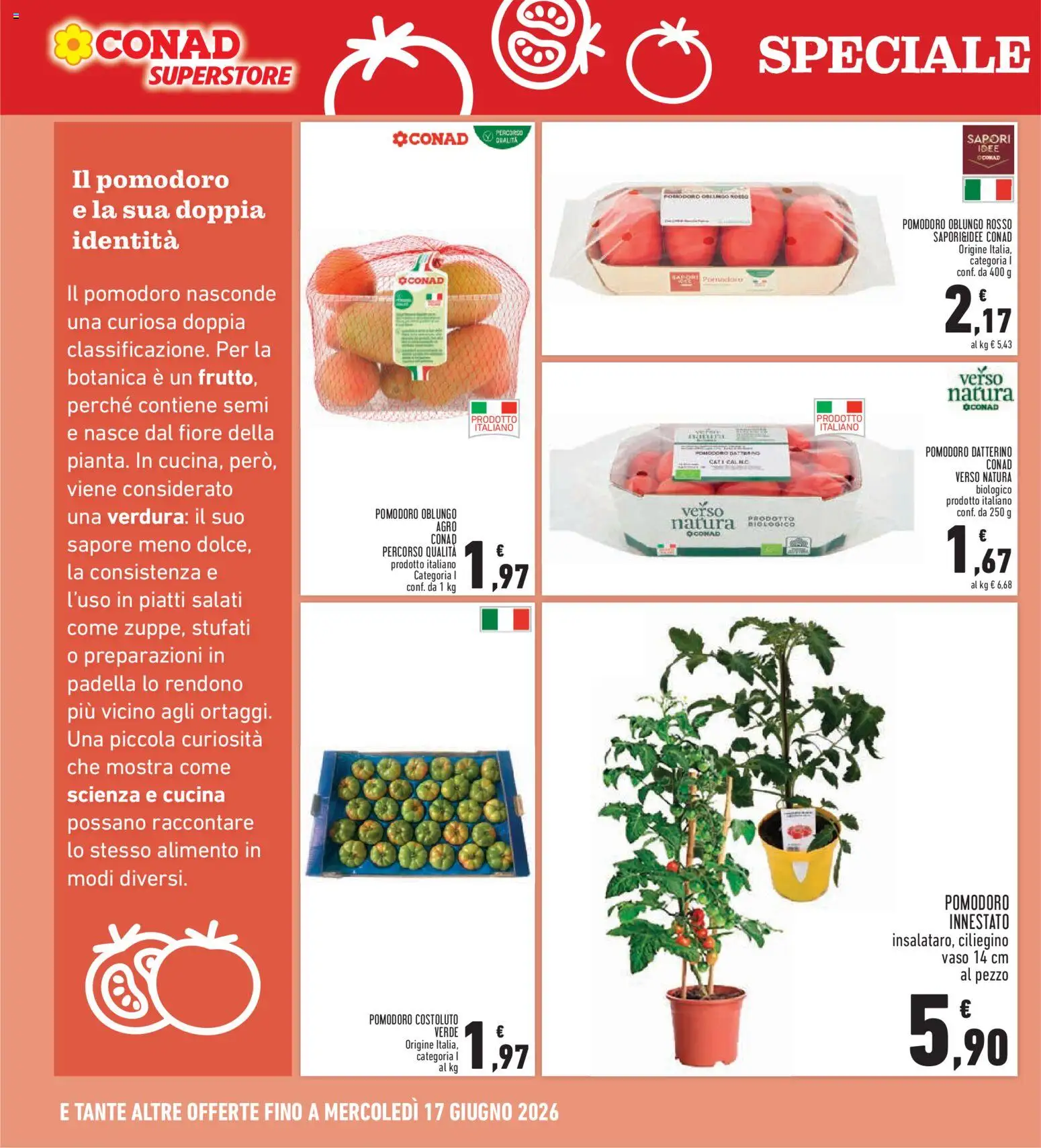 Volantino Conad del 04.06.2026 | Pagina: 16 | Prodotti: Pomodoro, Padella, Vaso