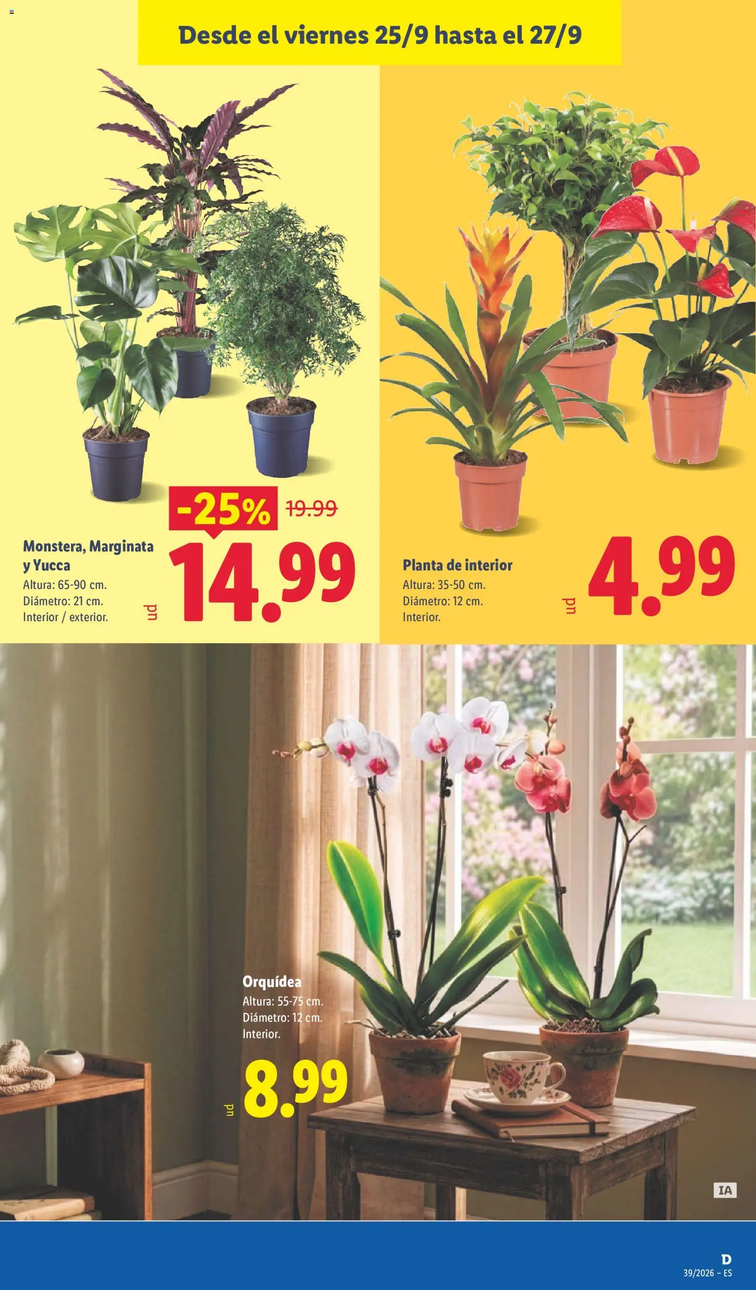 Lidl folleto │ válido desde el 21/09/2026 | Página: 49 | Productos: Orquídea