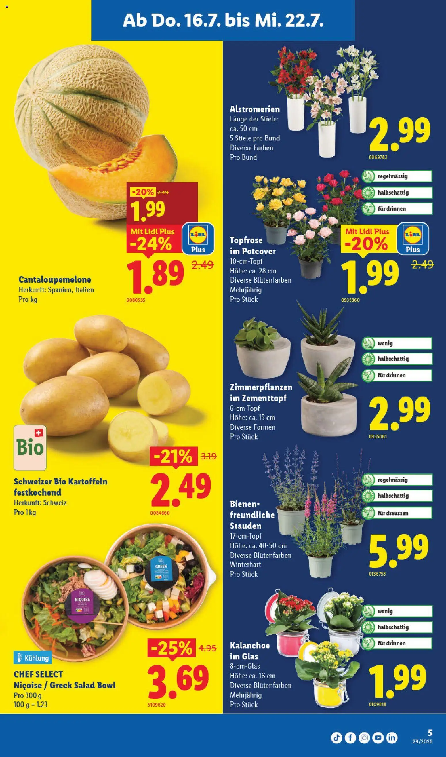Lidl aktionen – gültig ab 16.07.2026 | Seite: 5