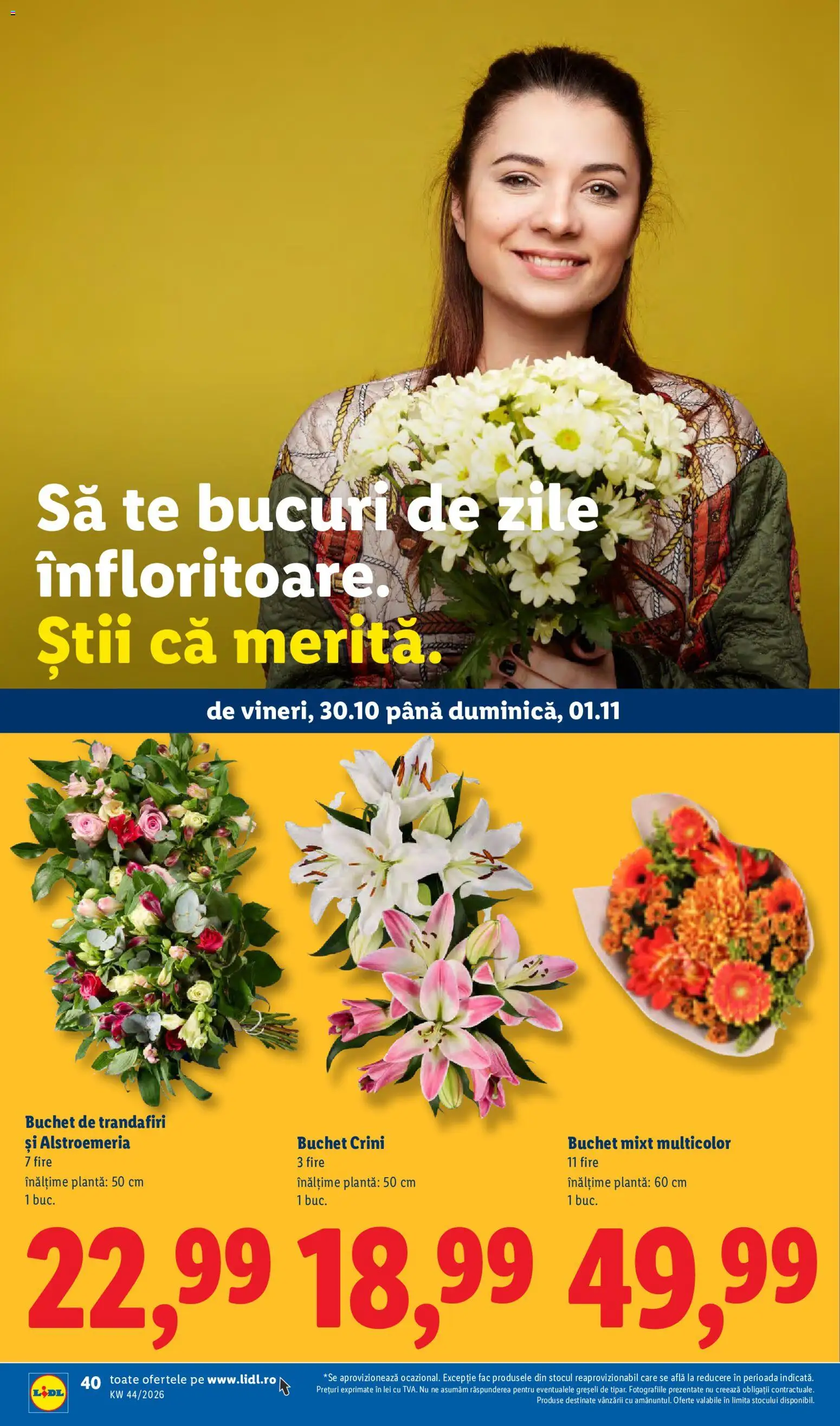 Noul catalog Lidl – valabil de la 26.10.2026 | Pagină: 40