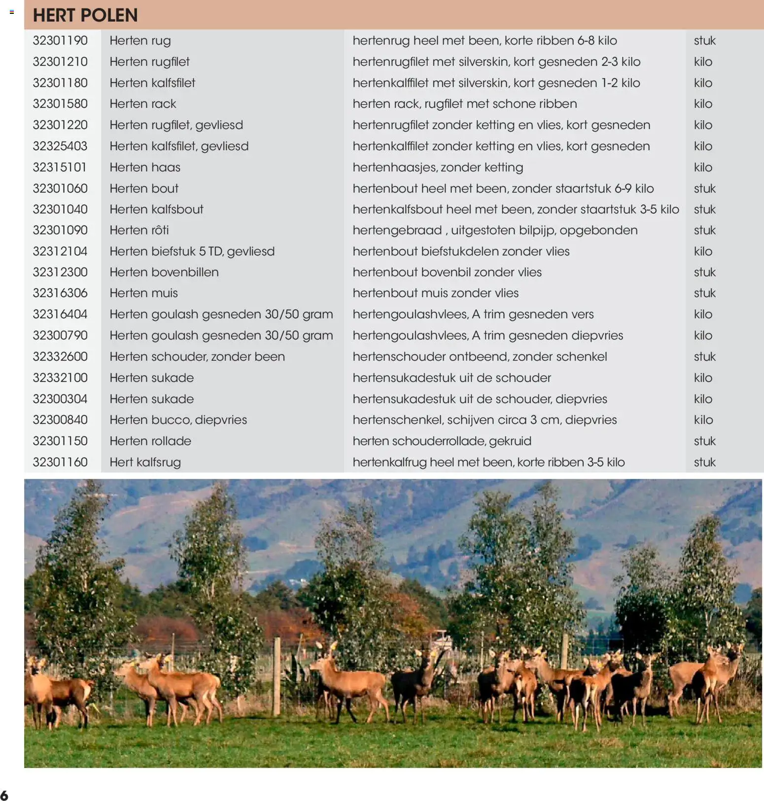 {H1} | Pagina: 6 | Producten: Haas, Biefstuk, Muis, Ketting