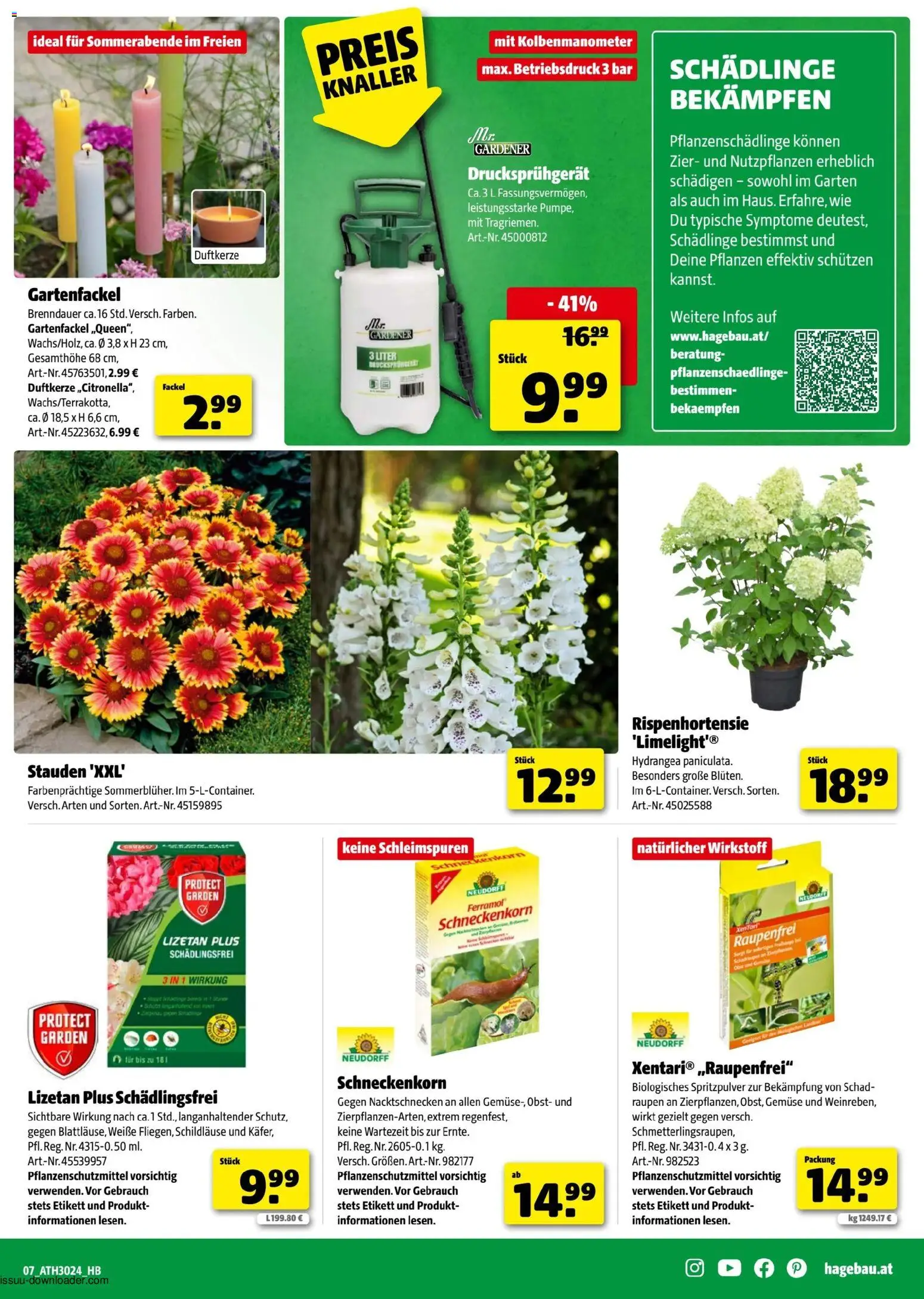 Hagebau Flugblatt gültig ab 01.06.2026 | Seite: 7 | Produkte: Gemüse, Obst