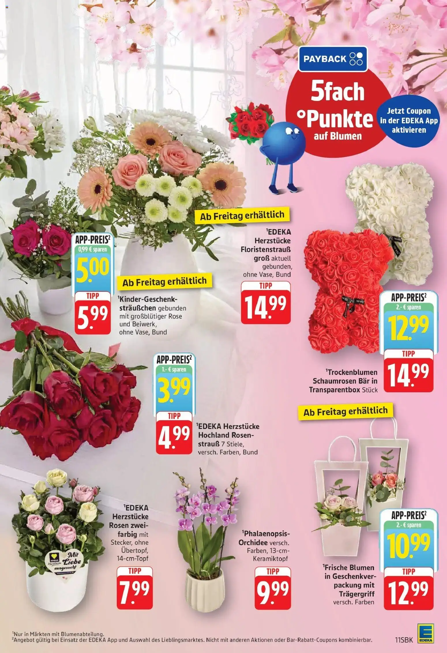 Edeka prospekt Pirmasens	 – gültig ab 04.05.2026 | Seite: 13 | Produkte: Orchidee, Blumen
