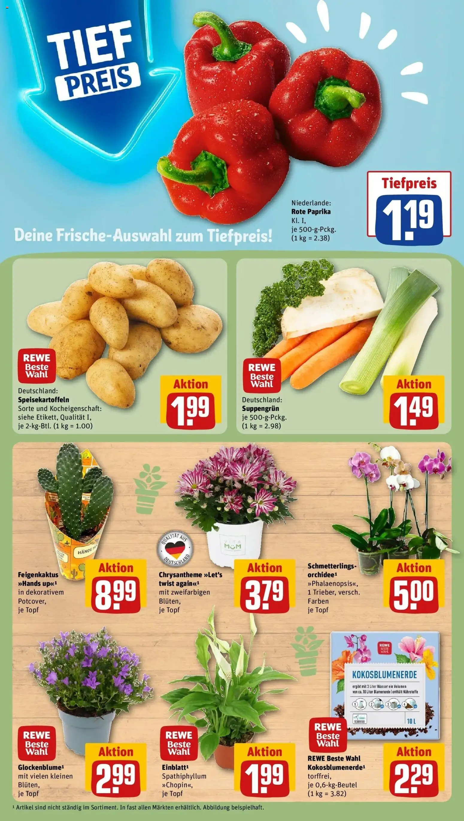 REWE Prospekt ab 10.08.2026 zum Blättern » Angebote | Seite: 7 | Produkte: Orchidee, Blumenerde, Wasser, Paprika